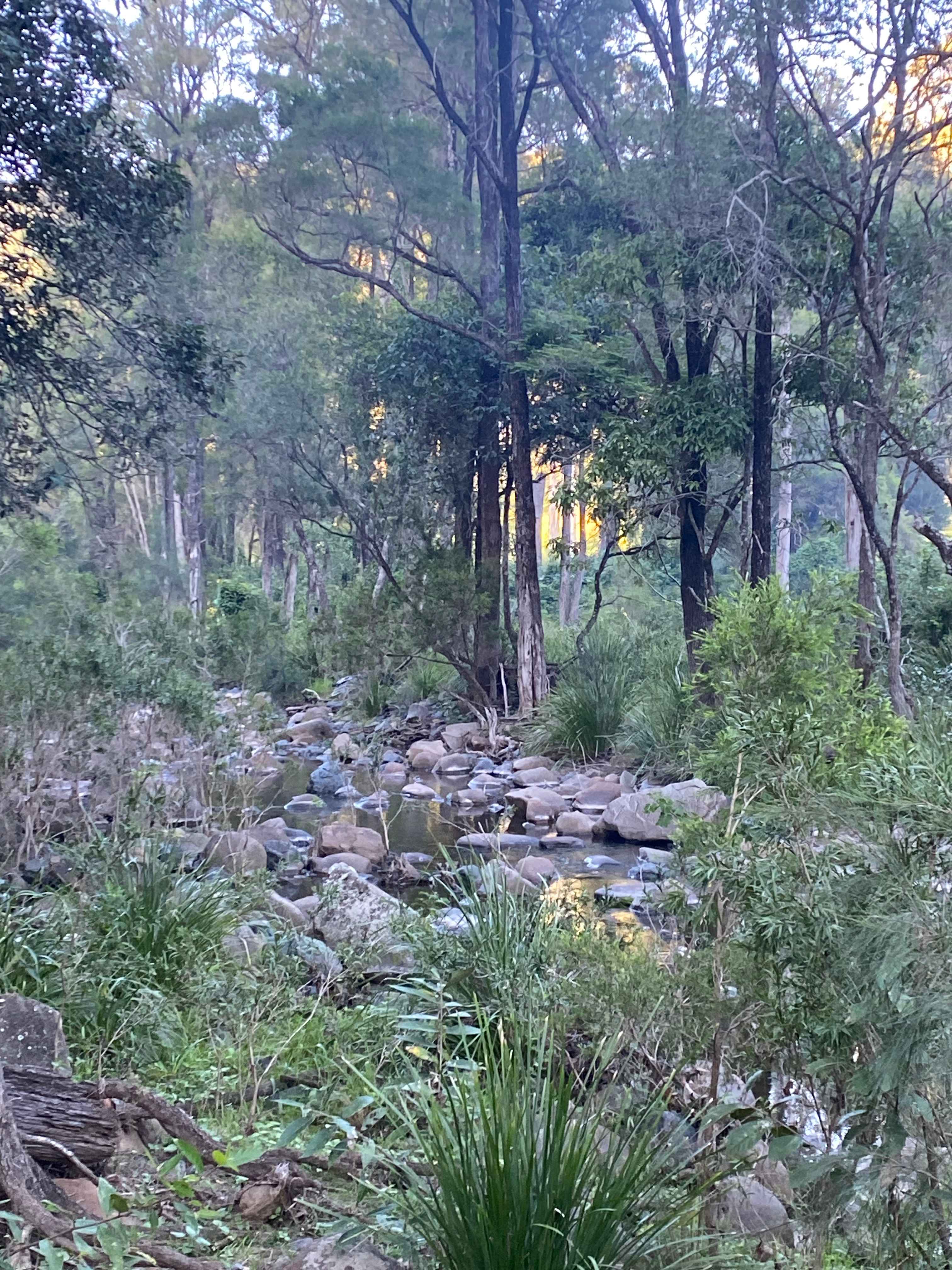 Bellbird Lodge