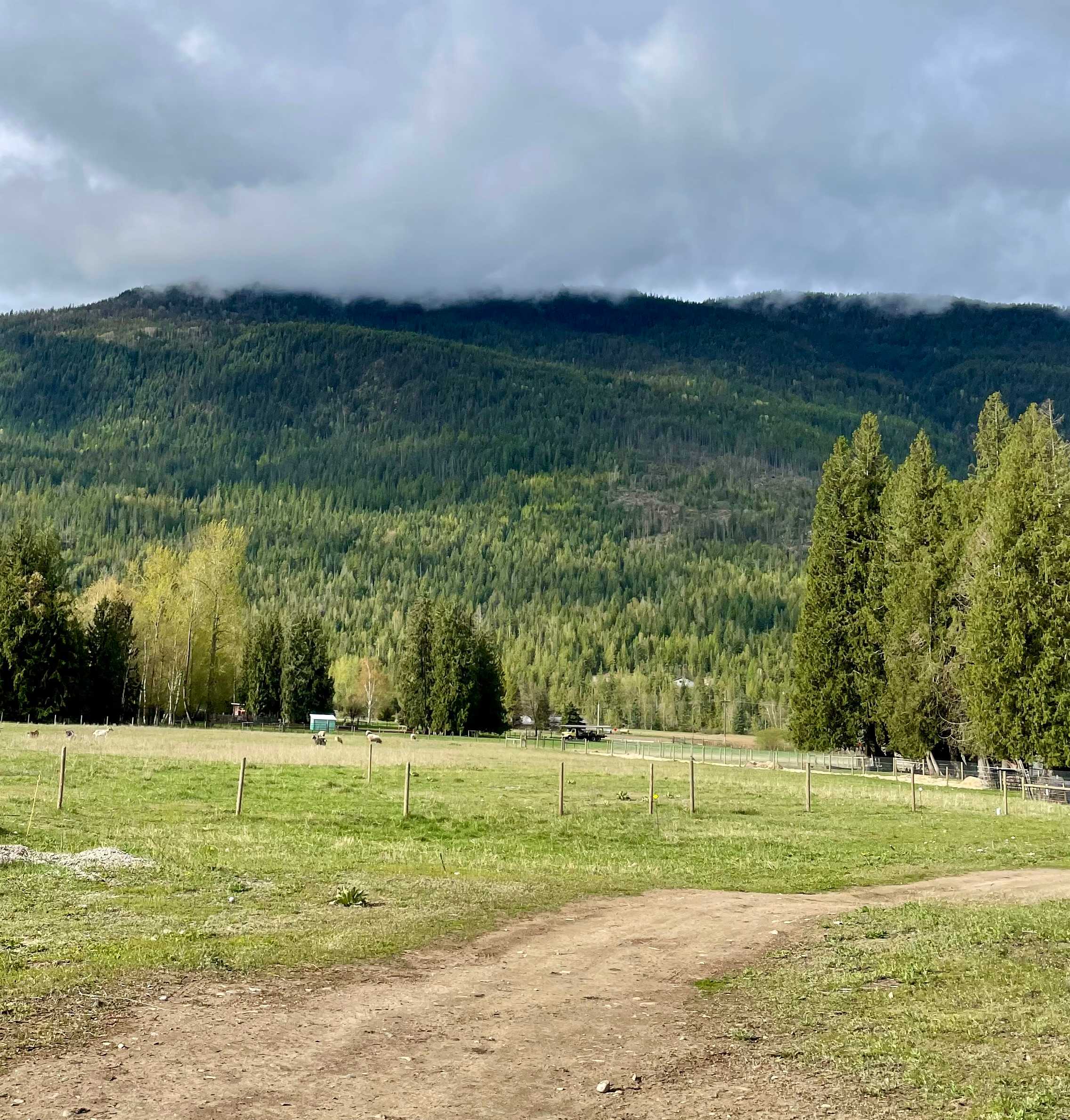View from the RV site