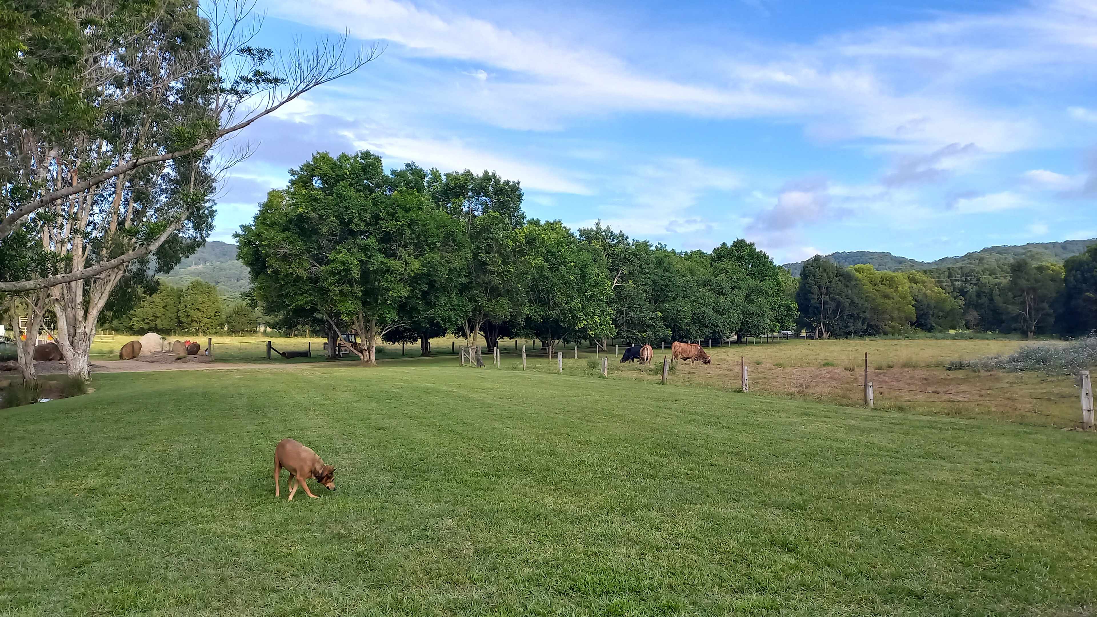 Nice country views