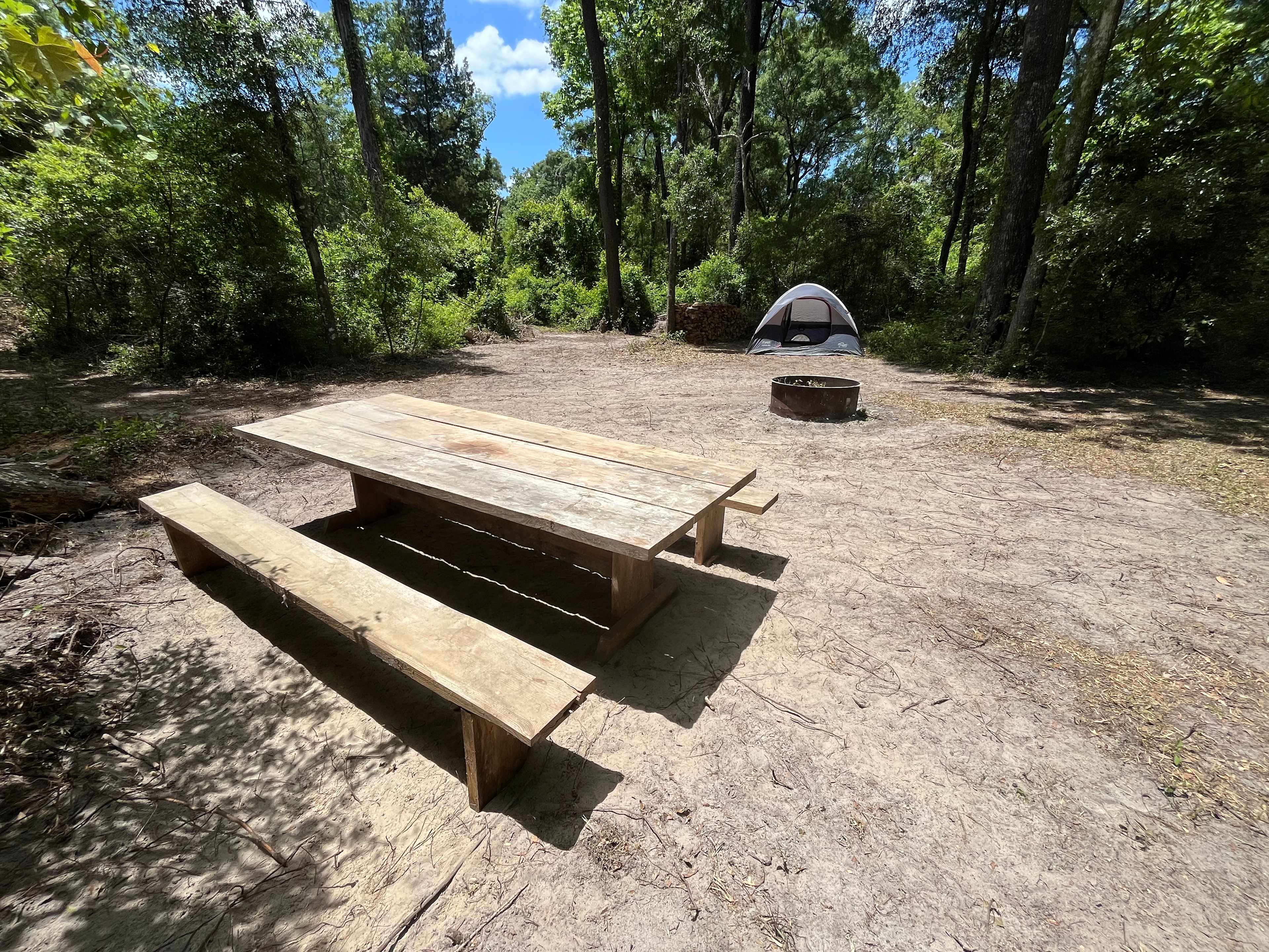 Secluded Wooded Campsite 🏕️