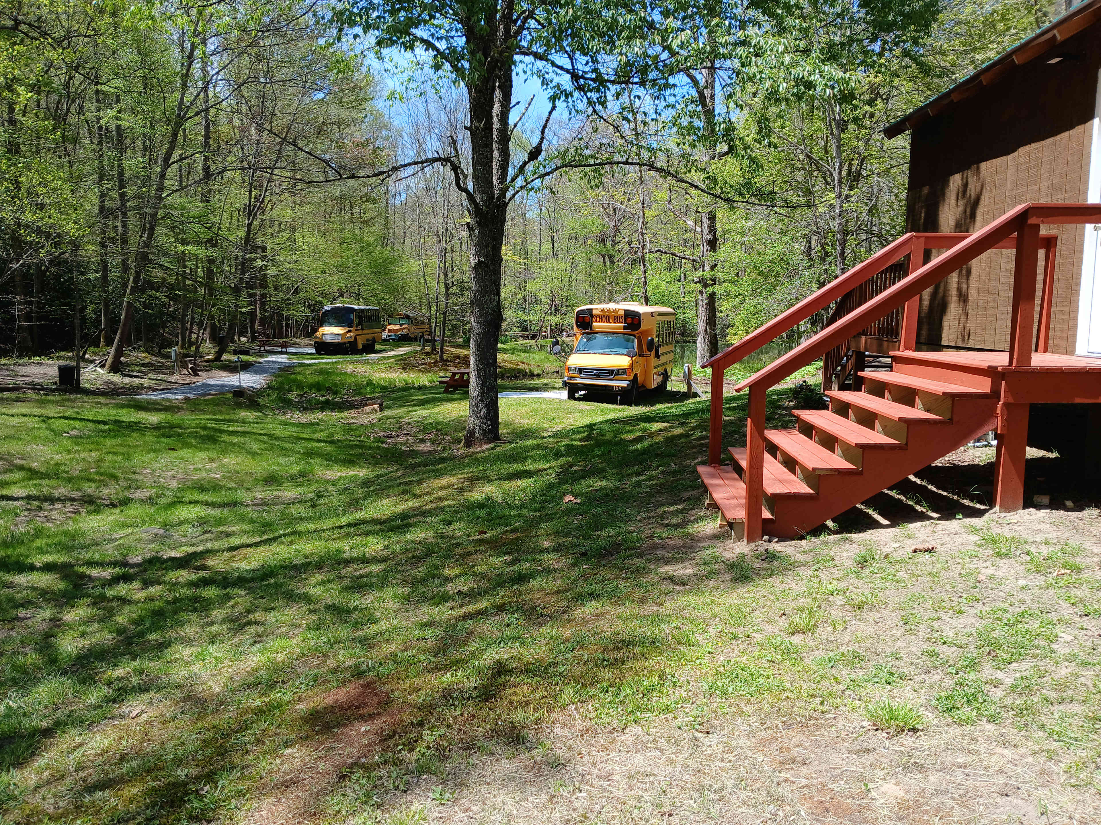 Wild Wonderful Skoolies And Camping