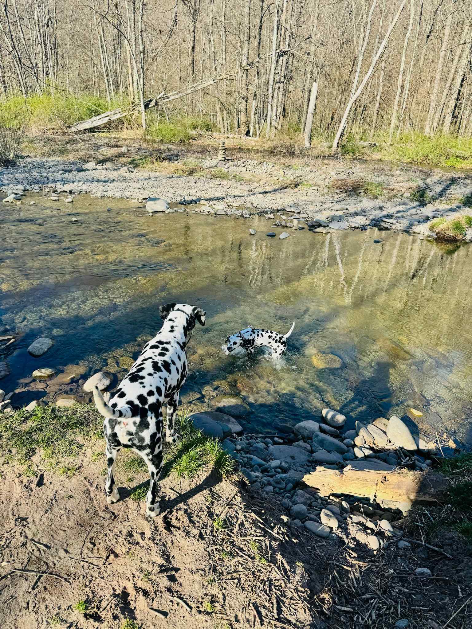 Upper Esopus Creekside Camp