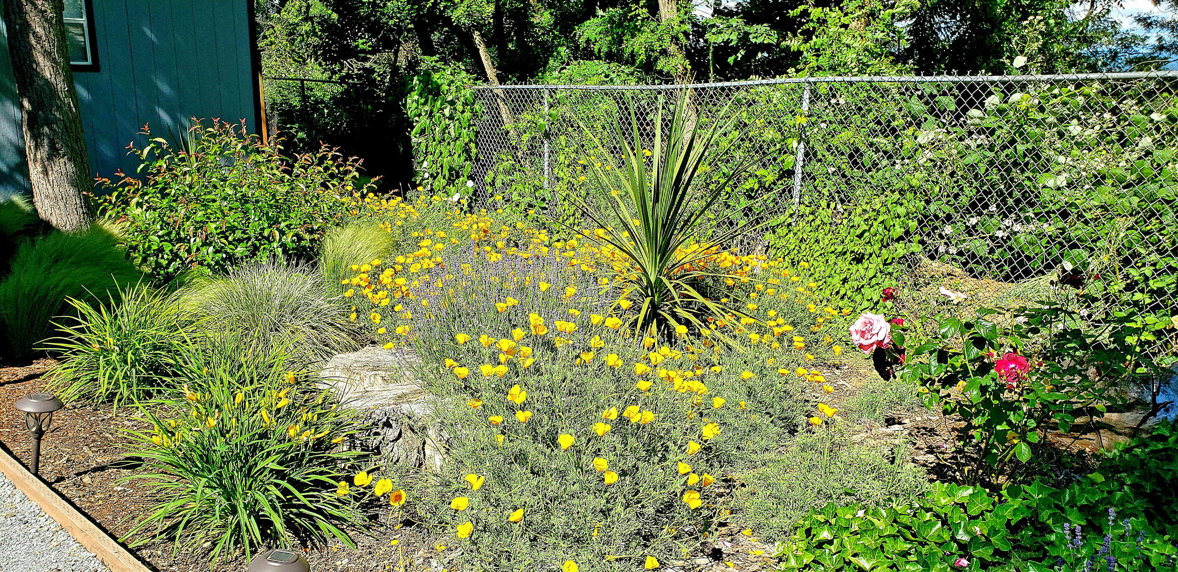 Pollinating garden