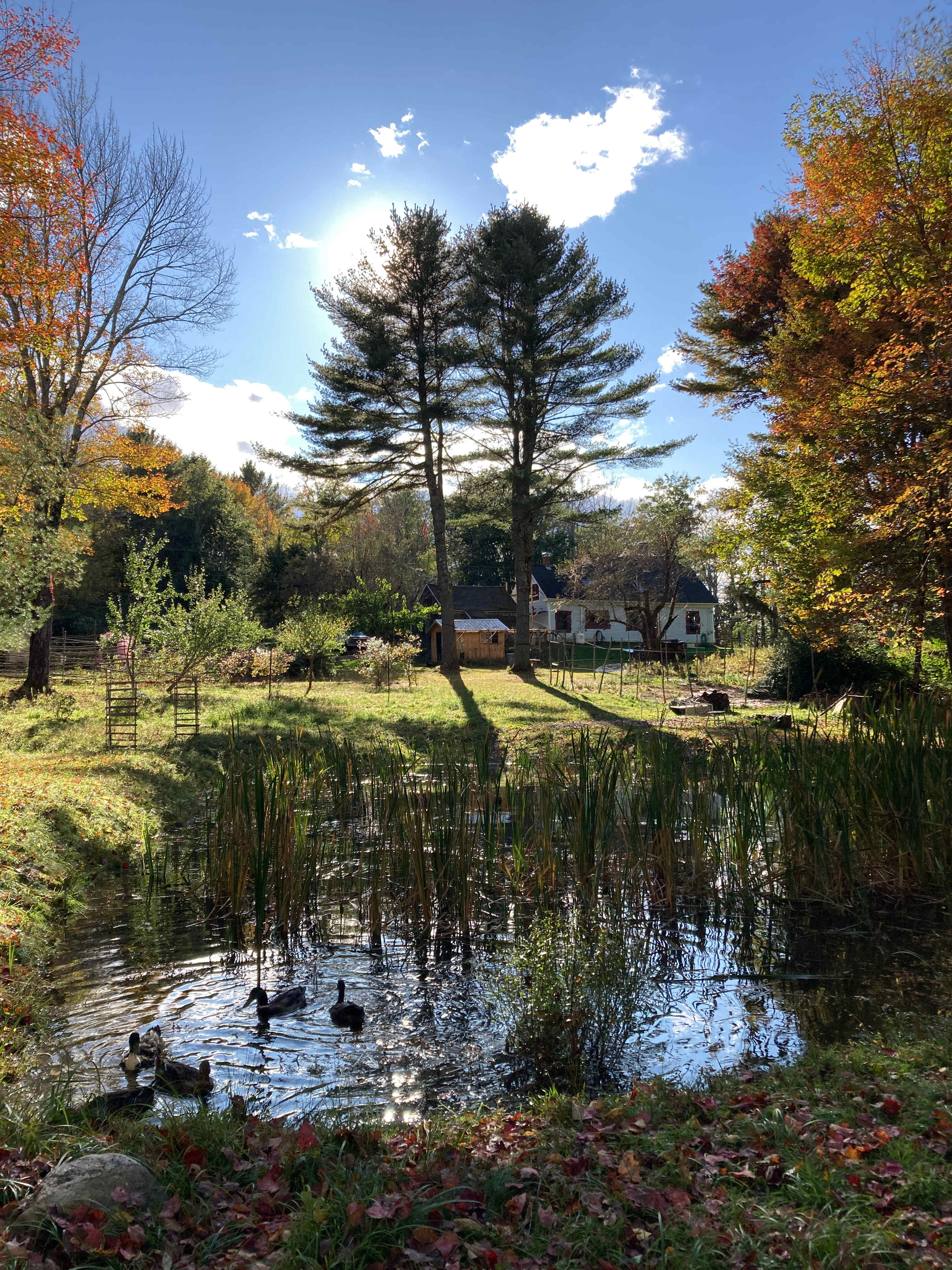 Jam Brook Farmstead Woodworking+Sew
