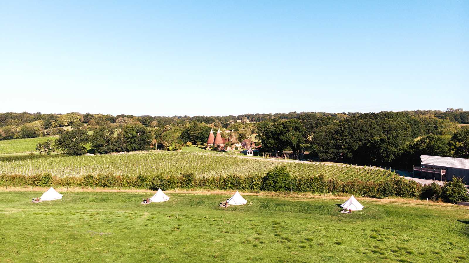 A view across the glamping area and one of the vineyards