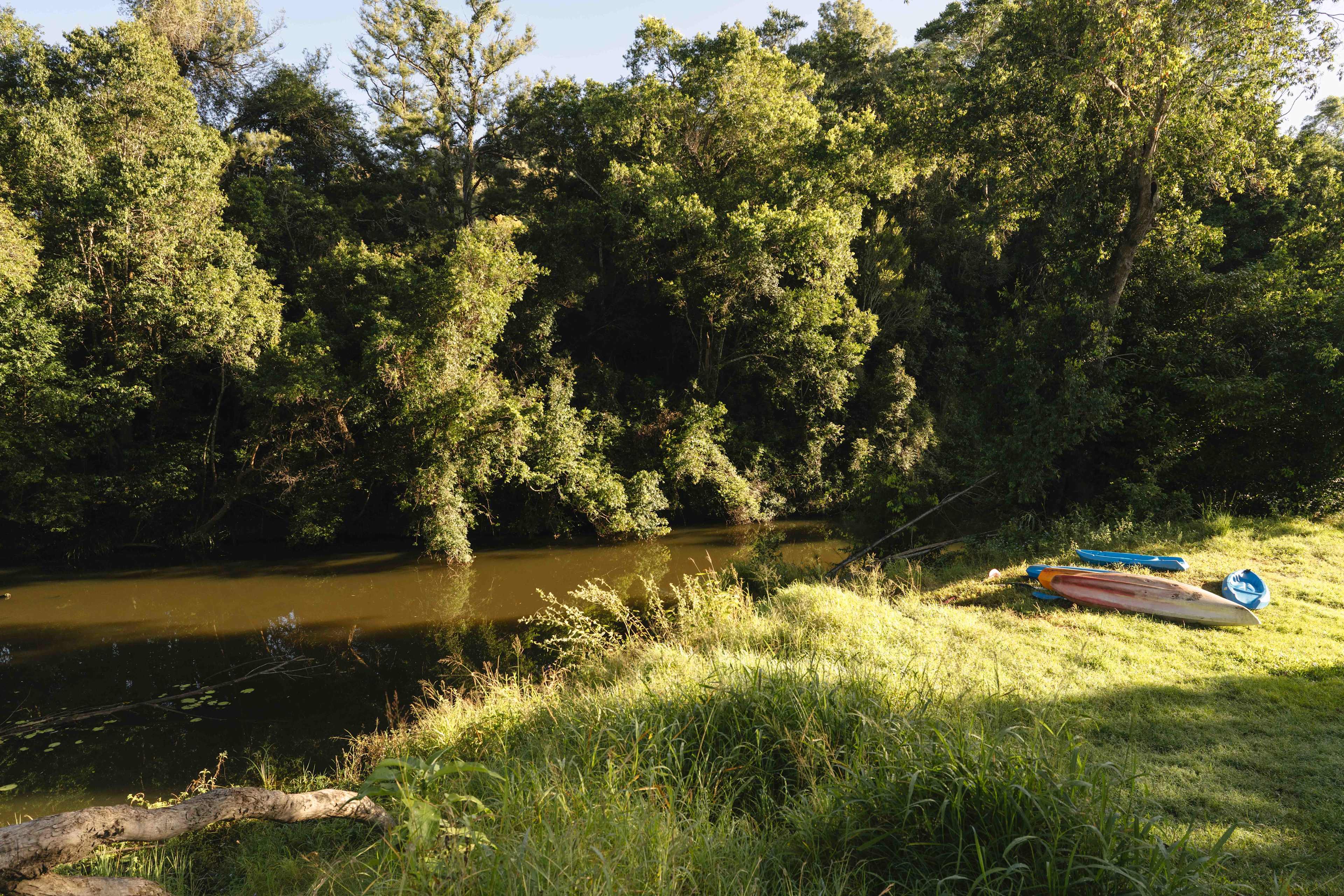 Time for a morning kayak