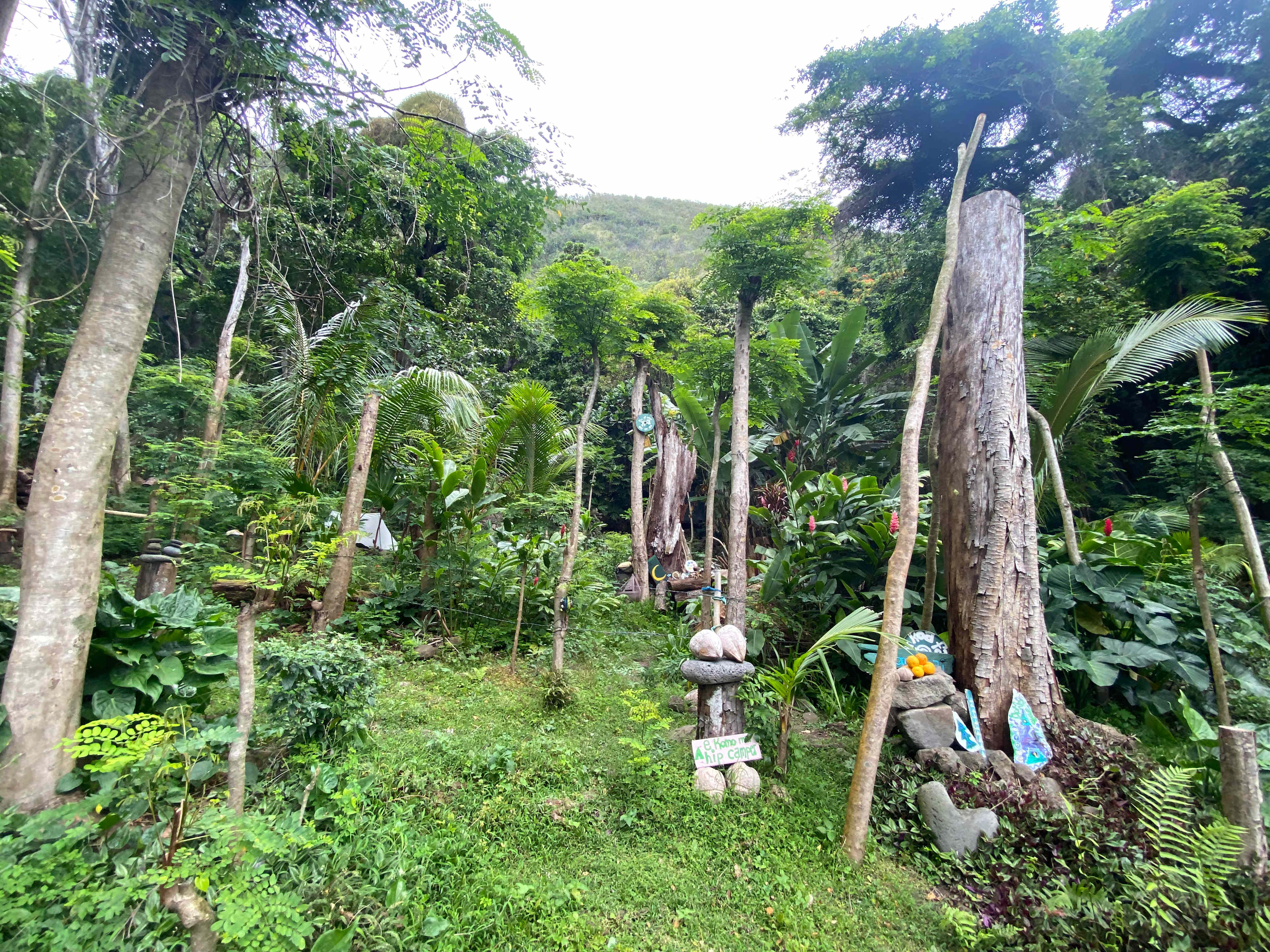 Campsite