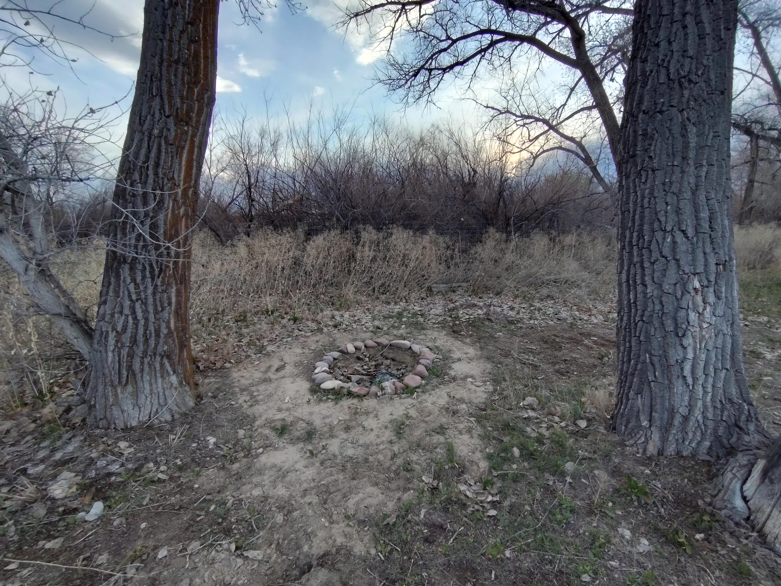 Carter Family Property