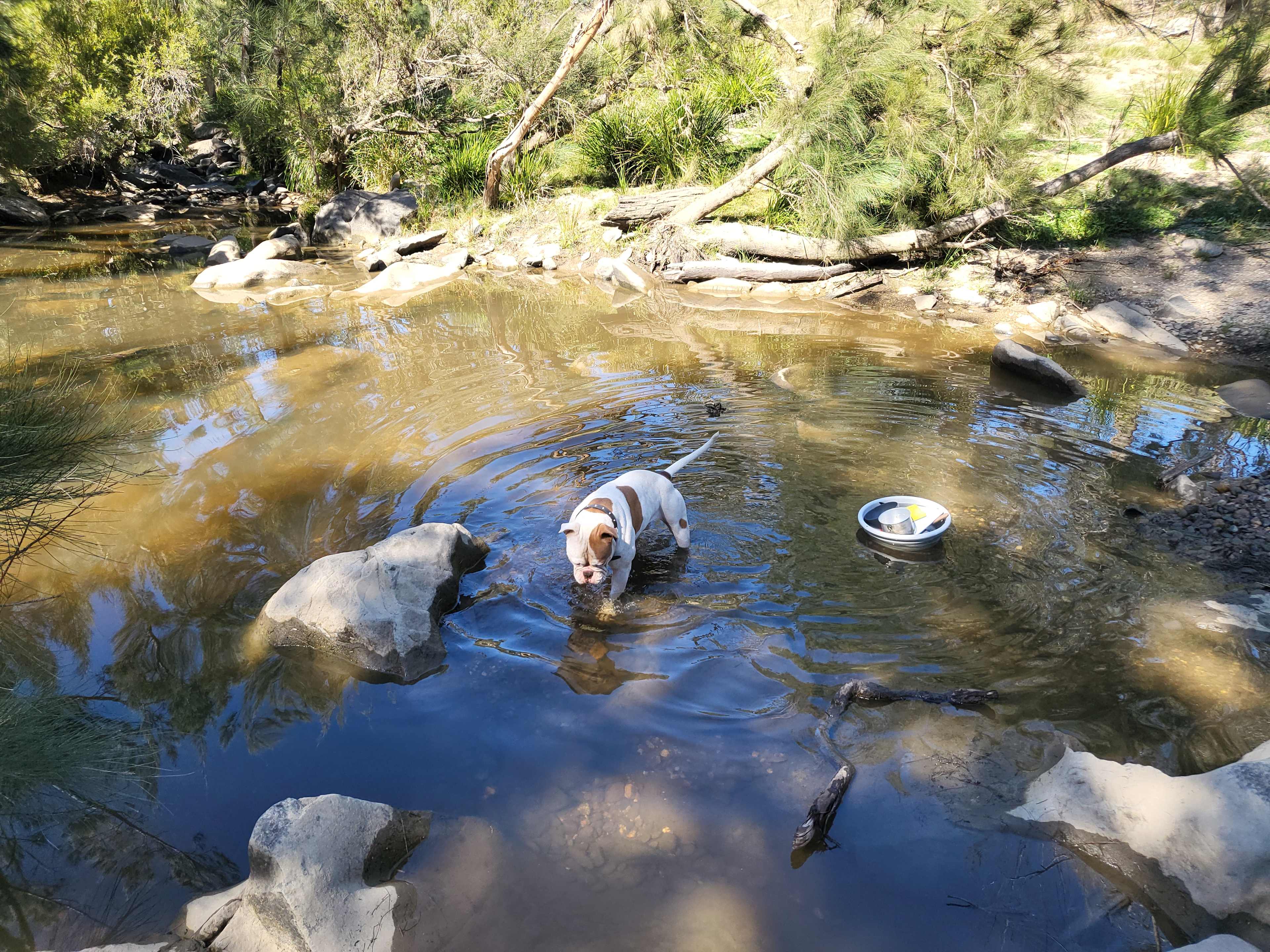Tallarook