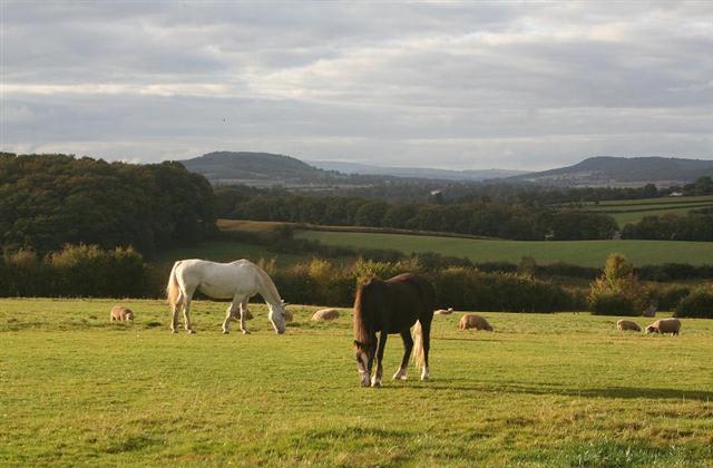Peaceful countryside