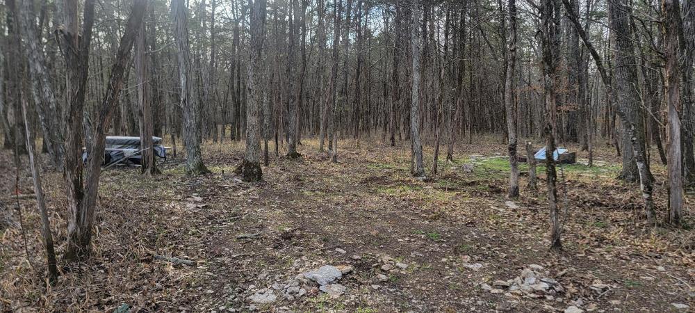 Priest Lake Property