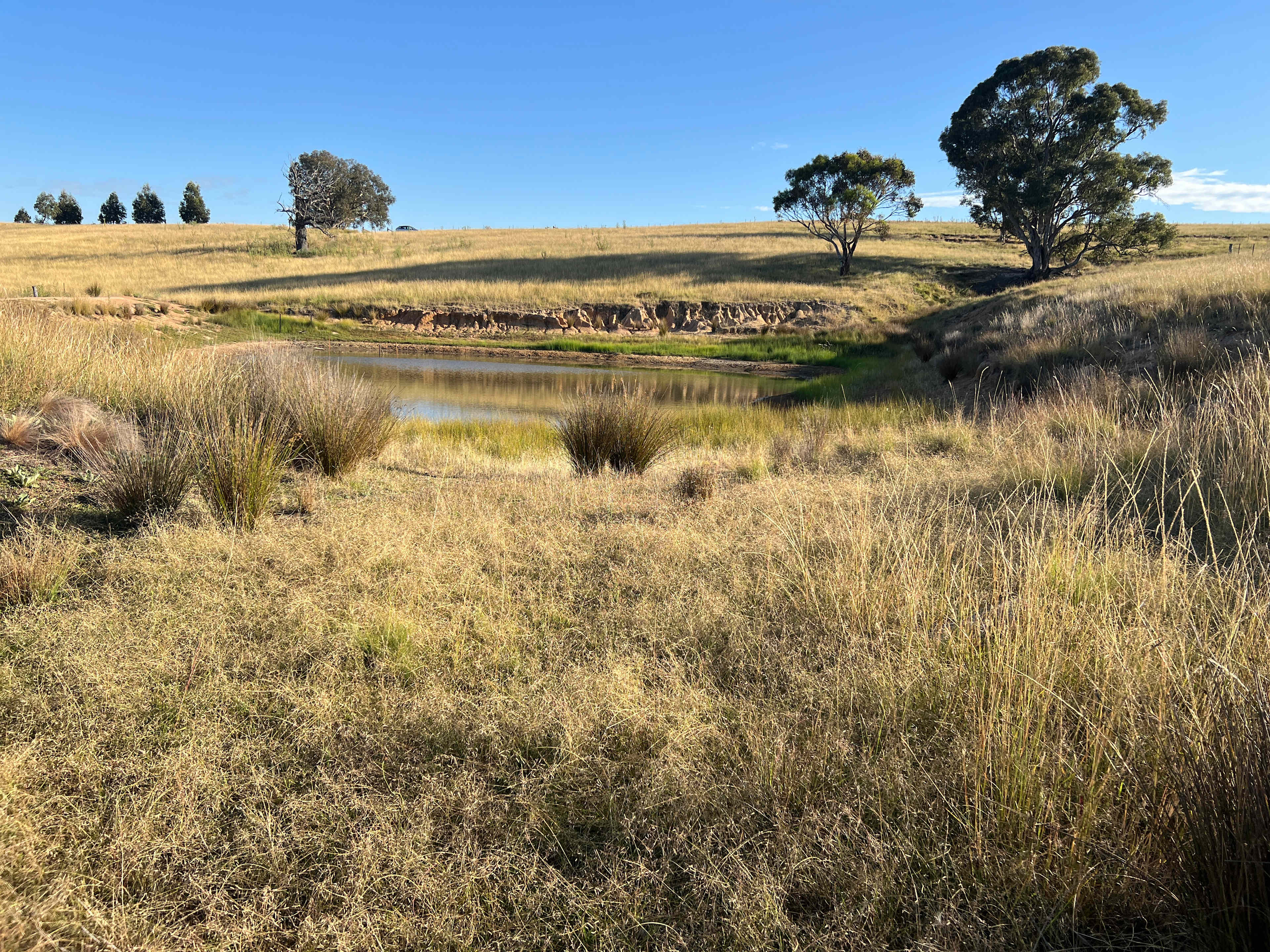Burrendah Farm Camp