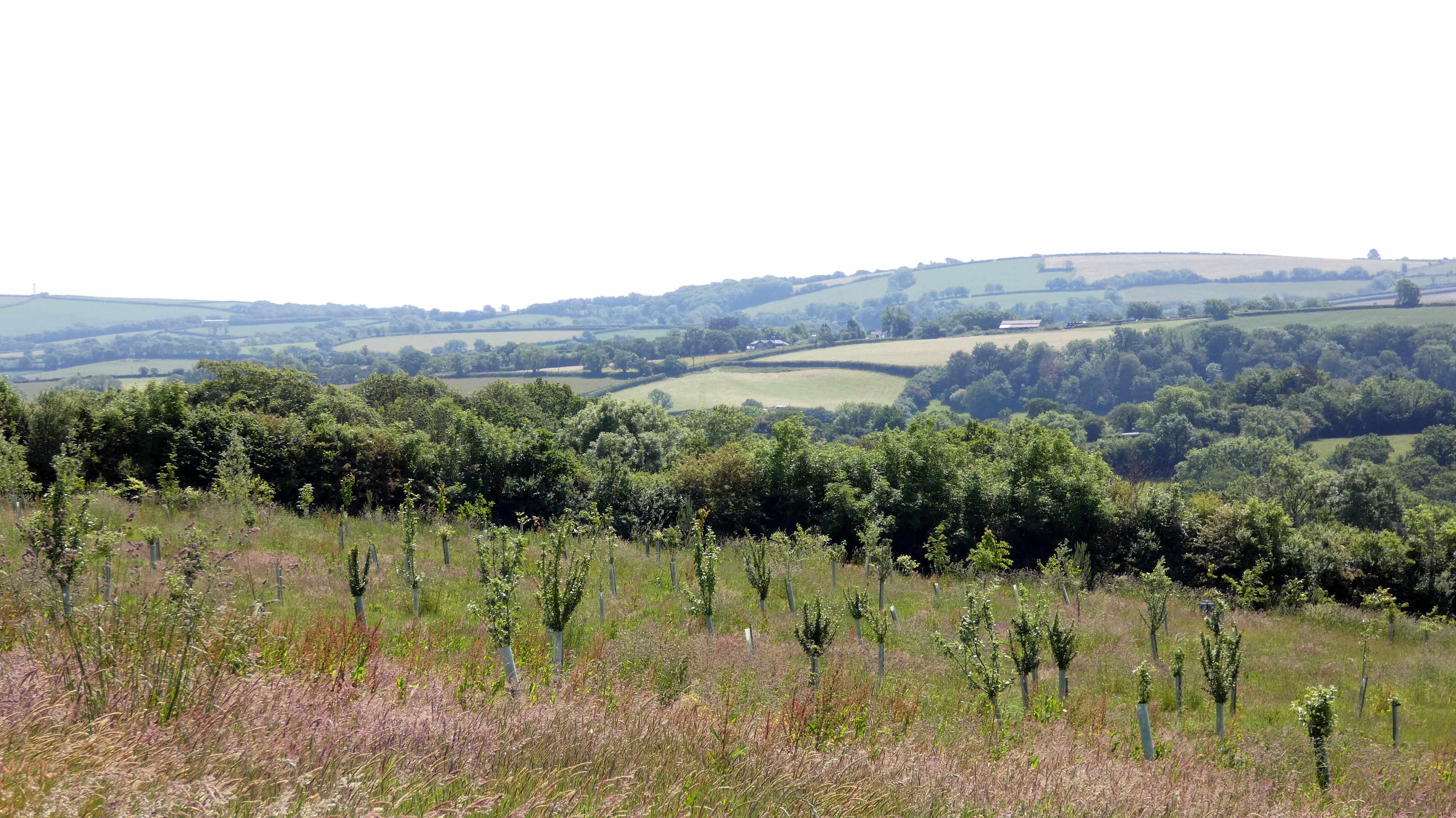 Betwixt Moorland Seaside Camping