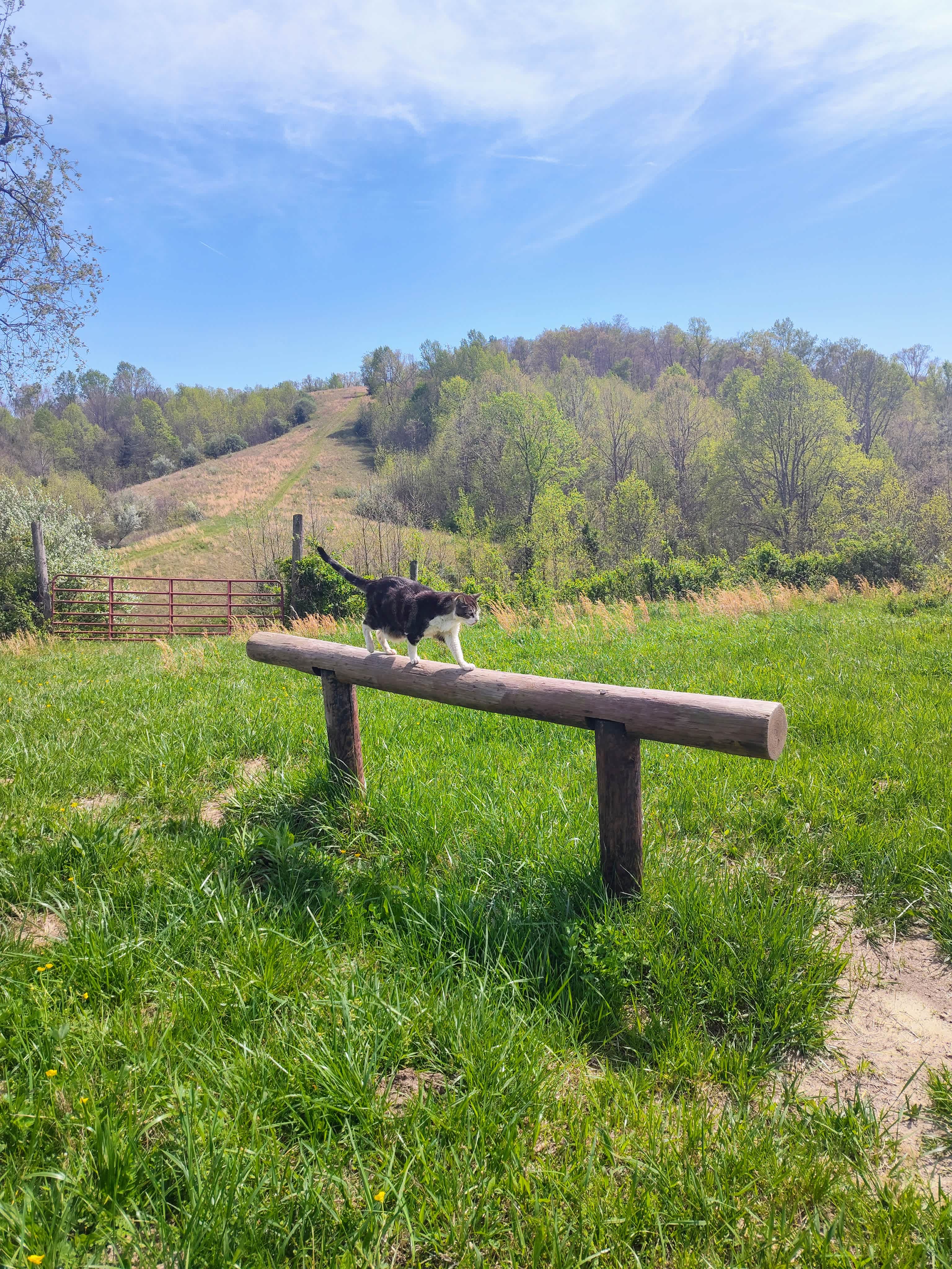 Big Laurel Ranch