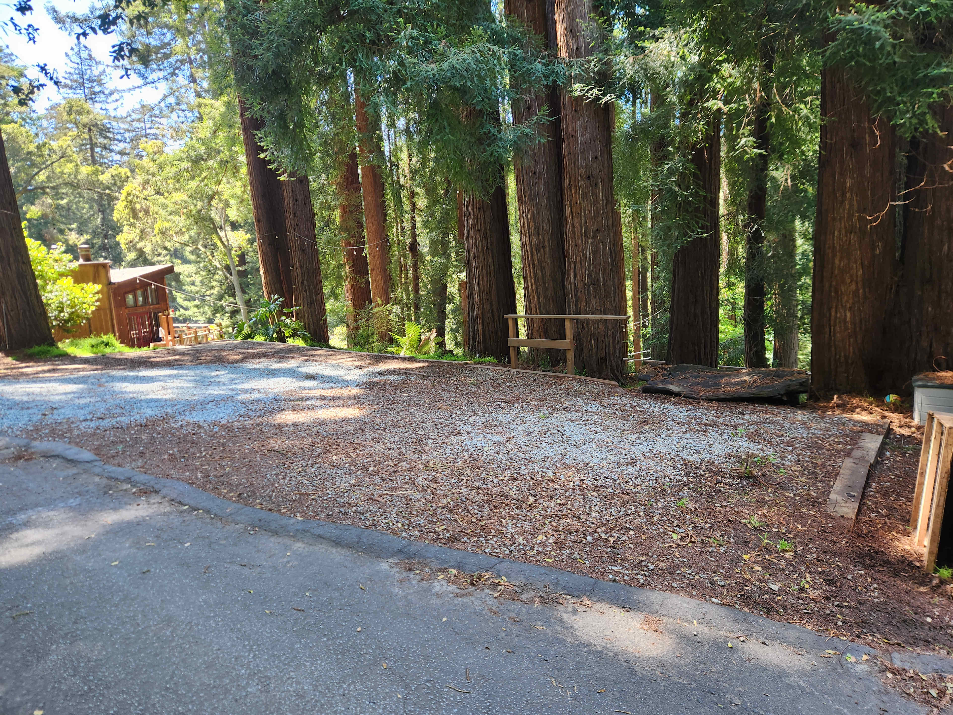 Cathedral Grove