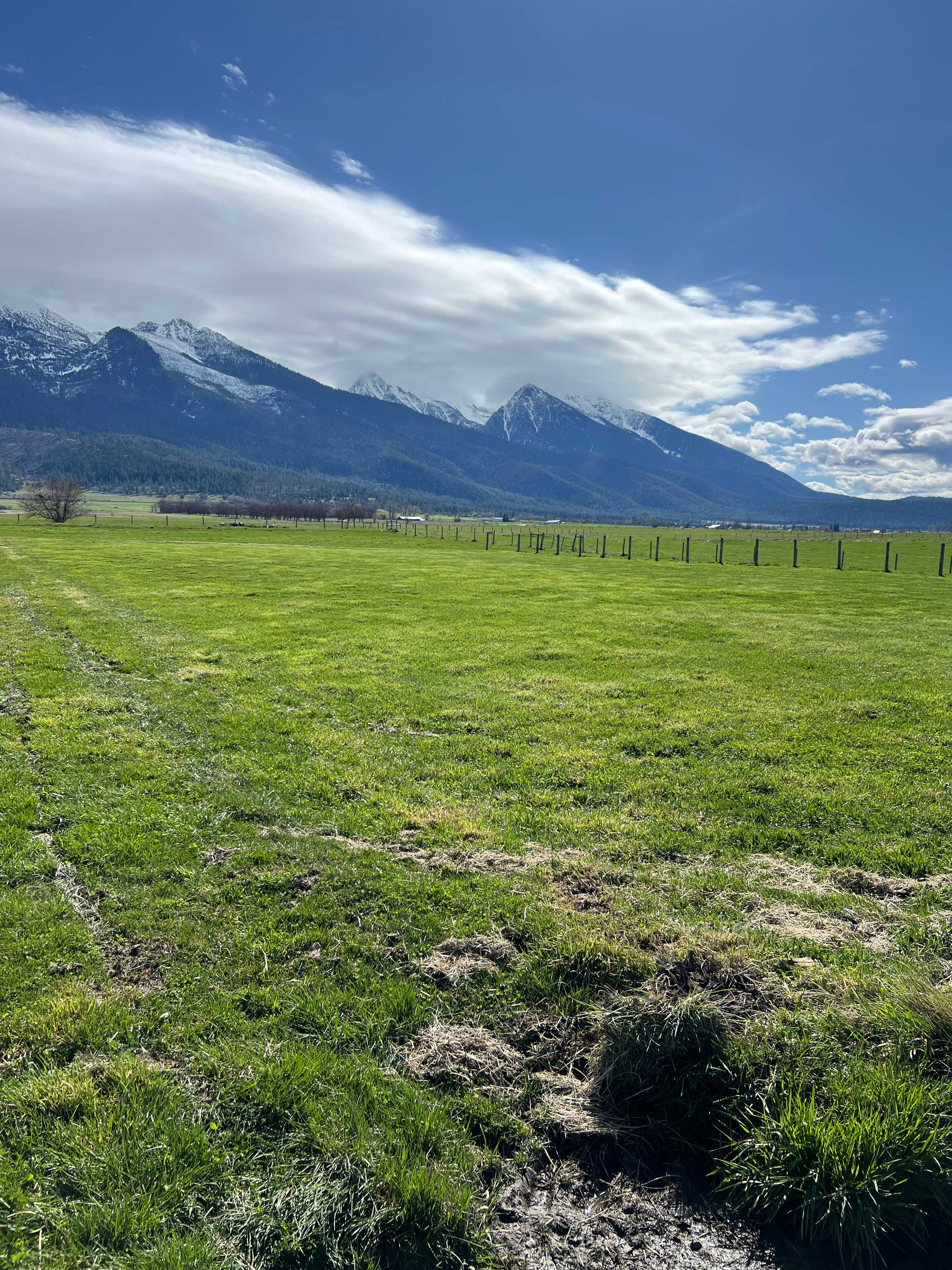 Mission Mountain DOZ Ranch