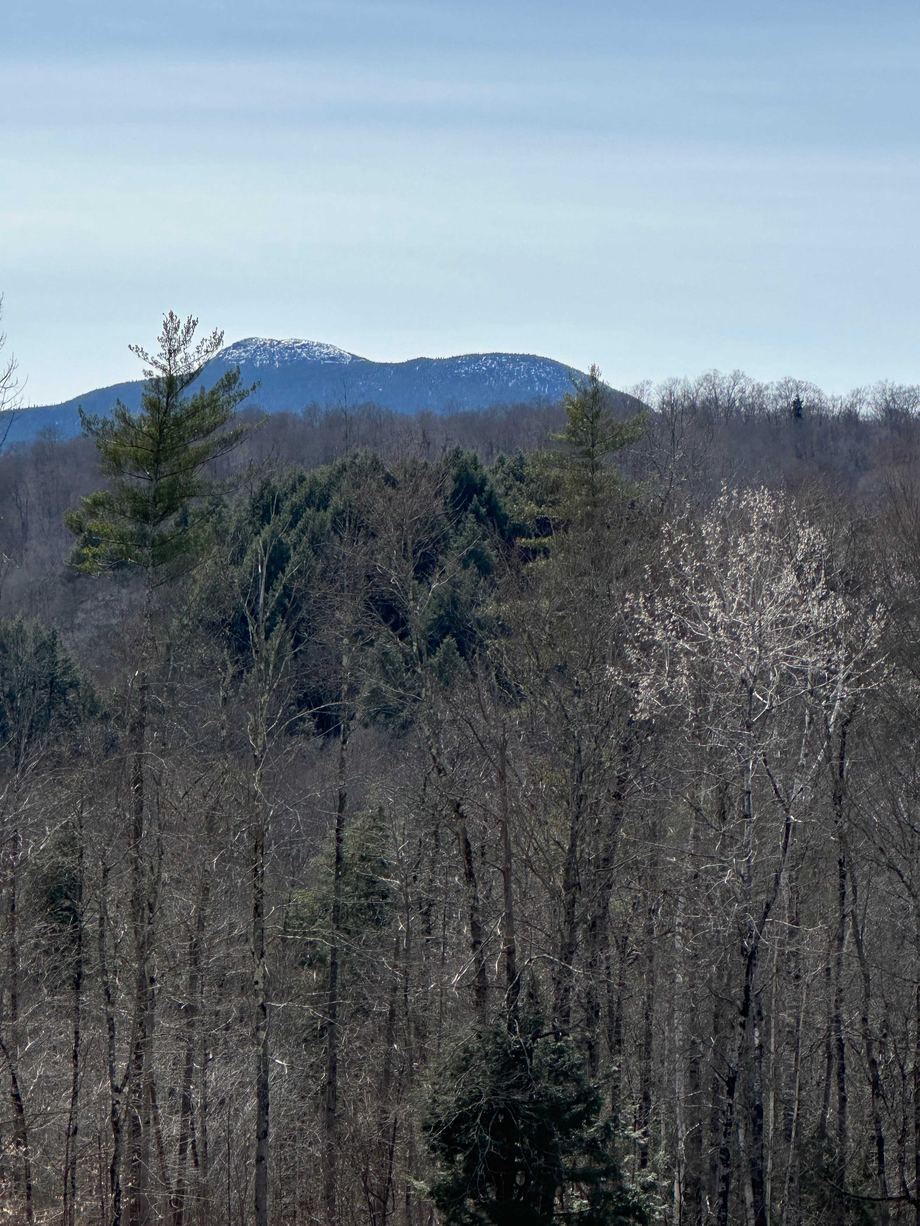 Stargaze Over Camels Hump