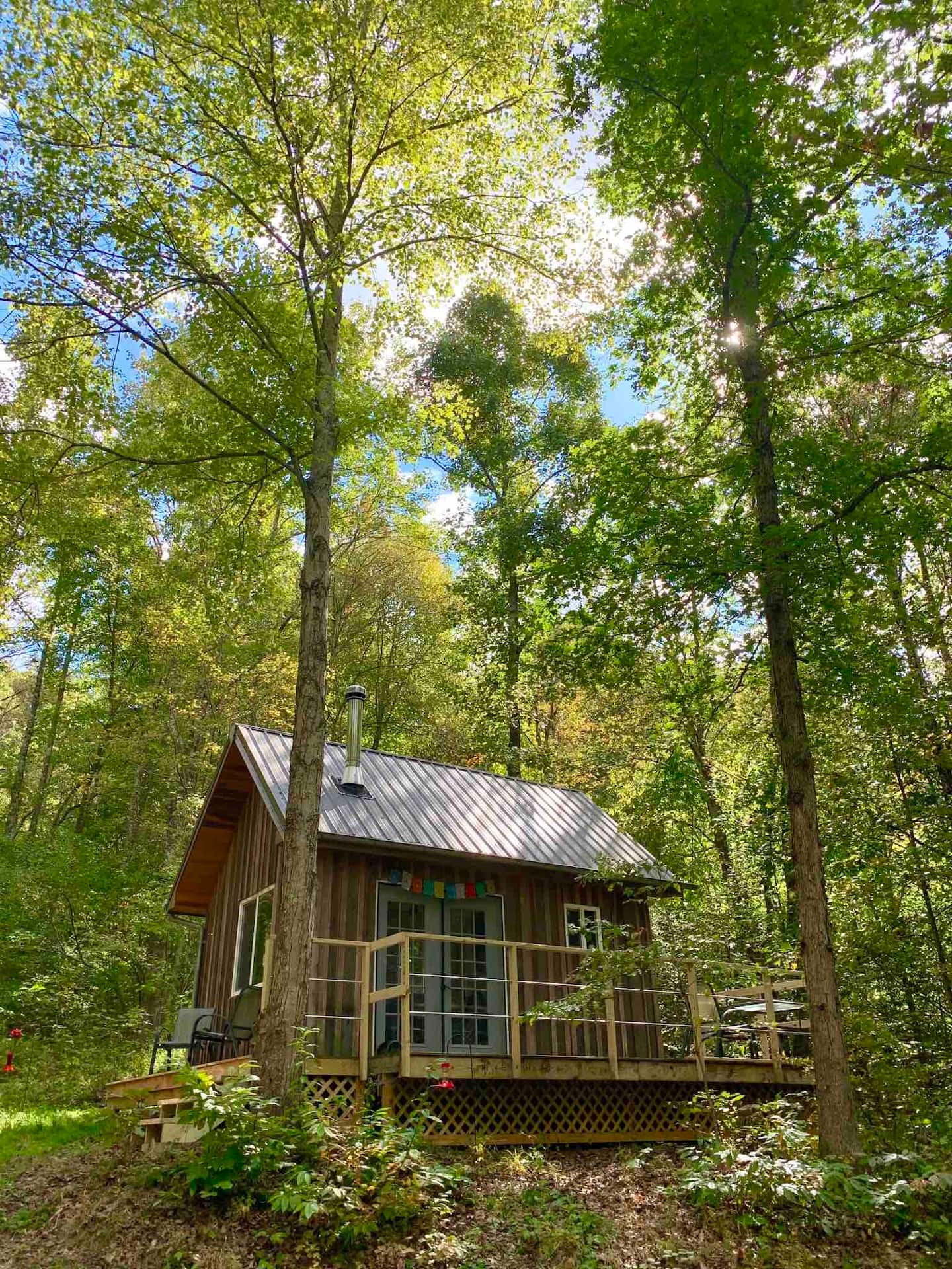 Tiny EcoCabin + Platform on 7 Acres