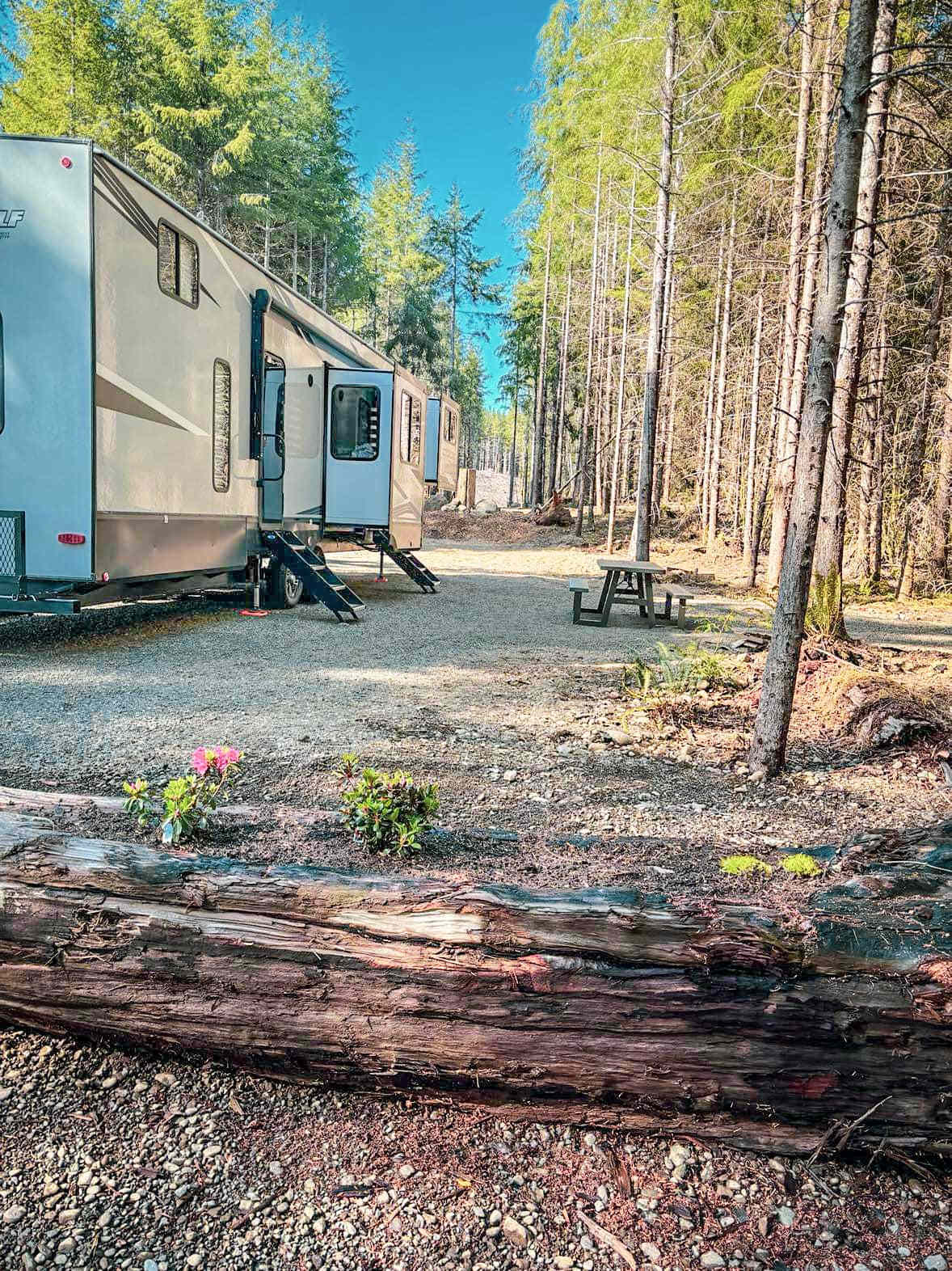 Picture of the site