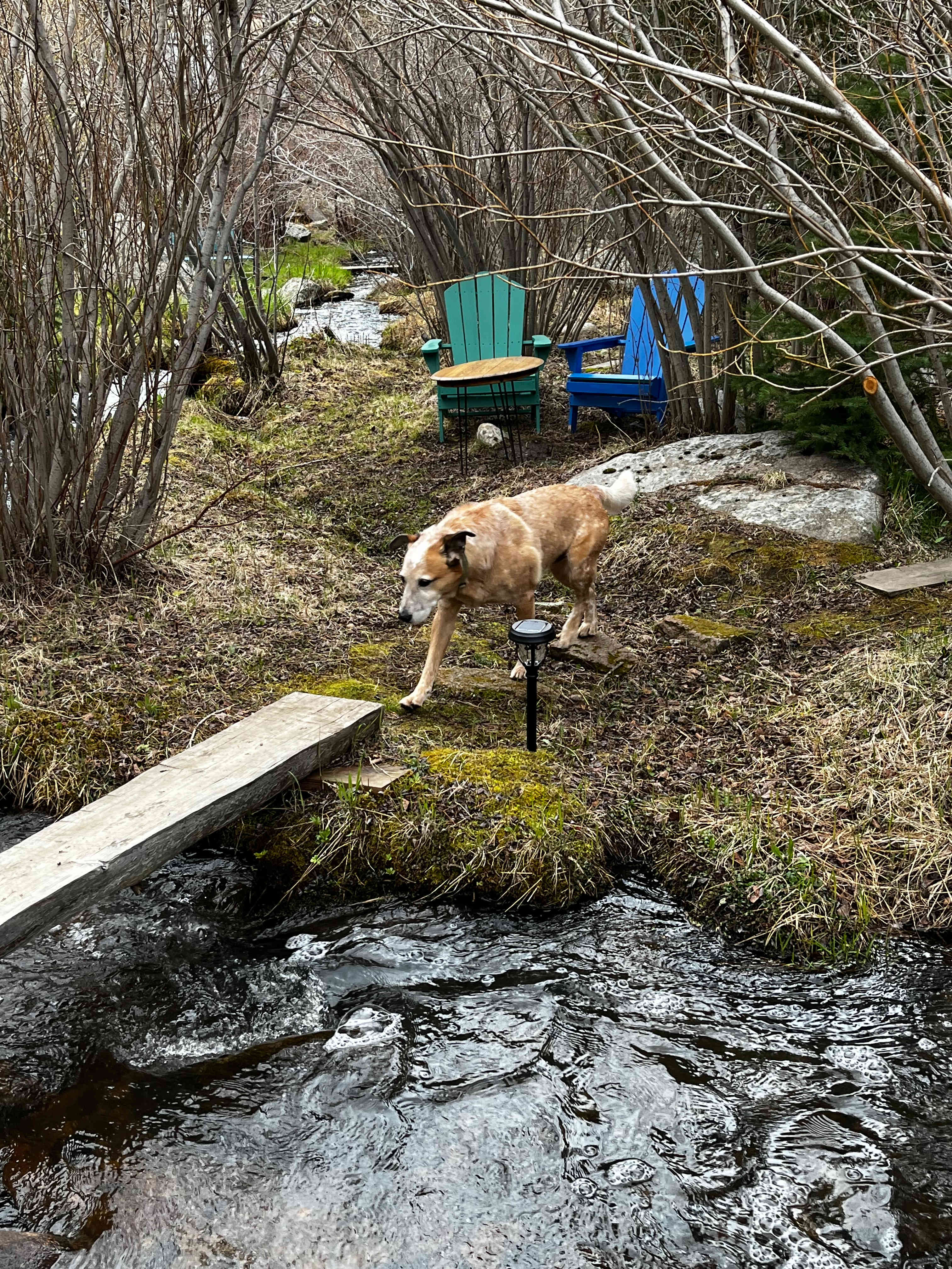 Rocky Mountain Glamping