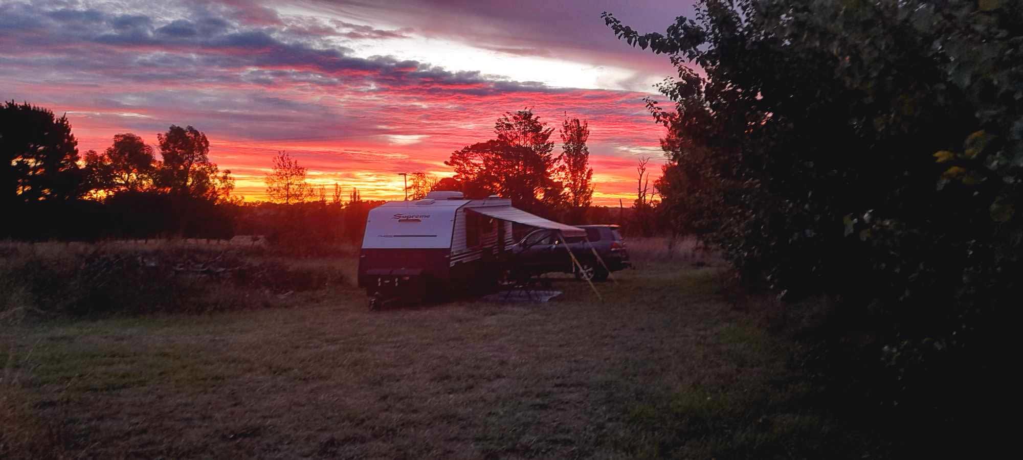 Hillside Harvest Orchard