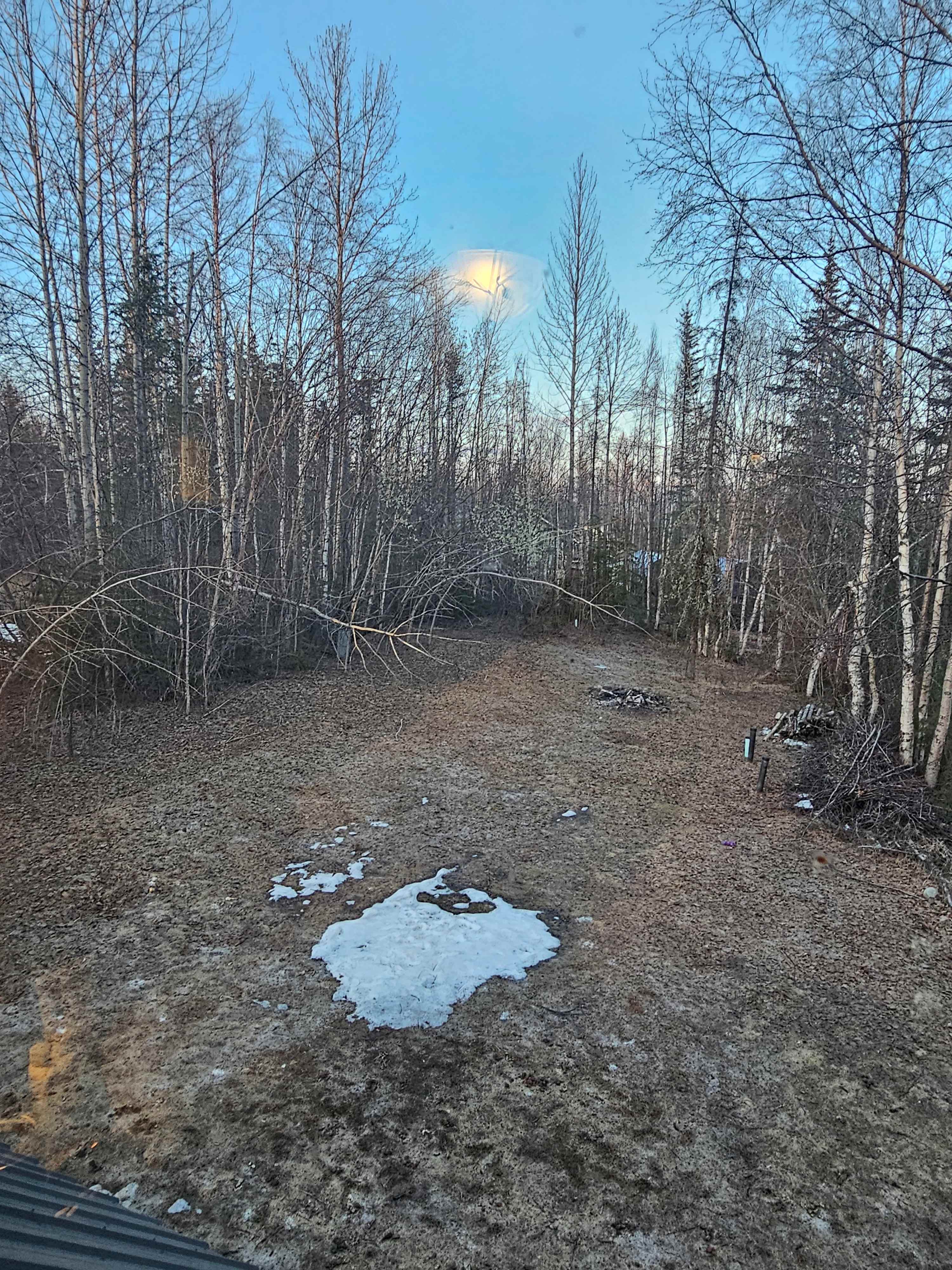 Wasilla Woods