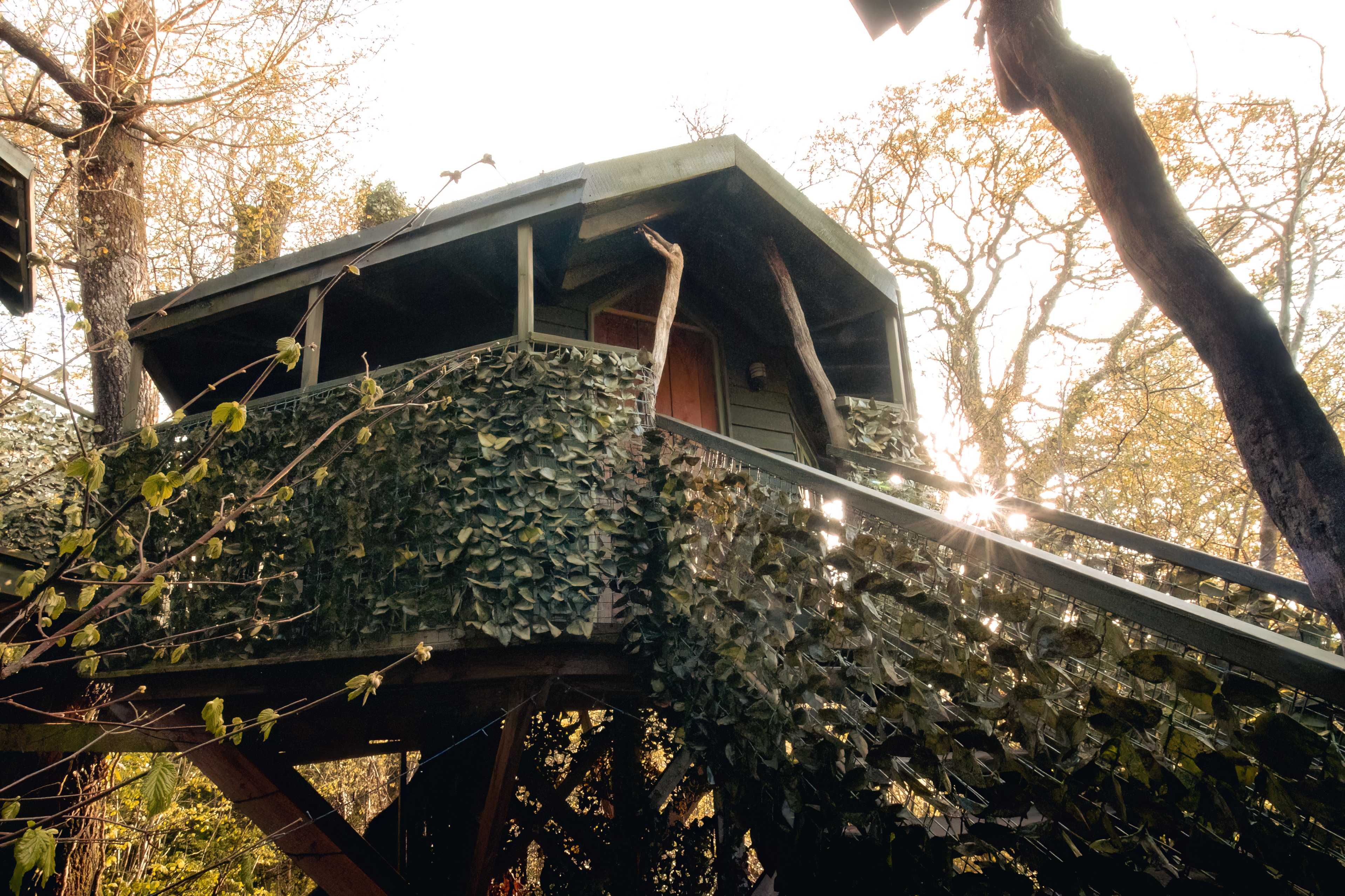 Celtic Woodland Holidays
