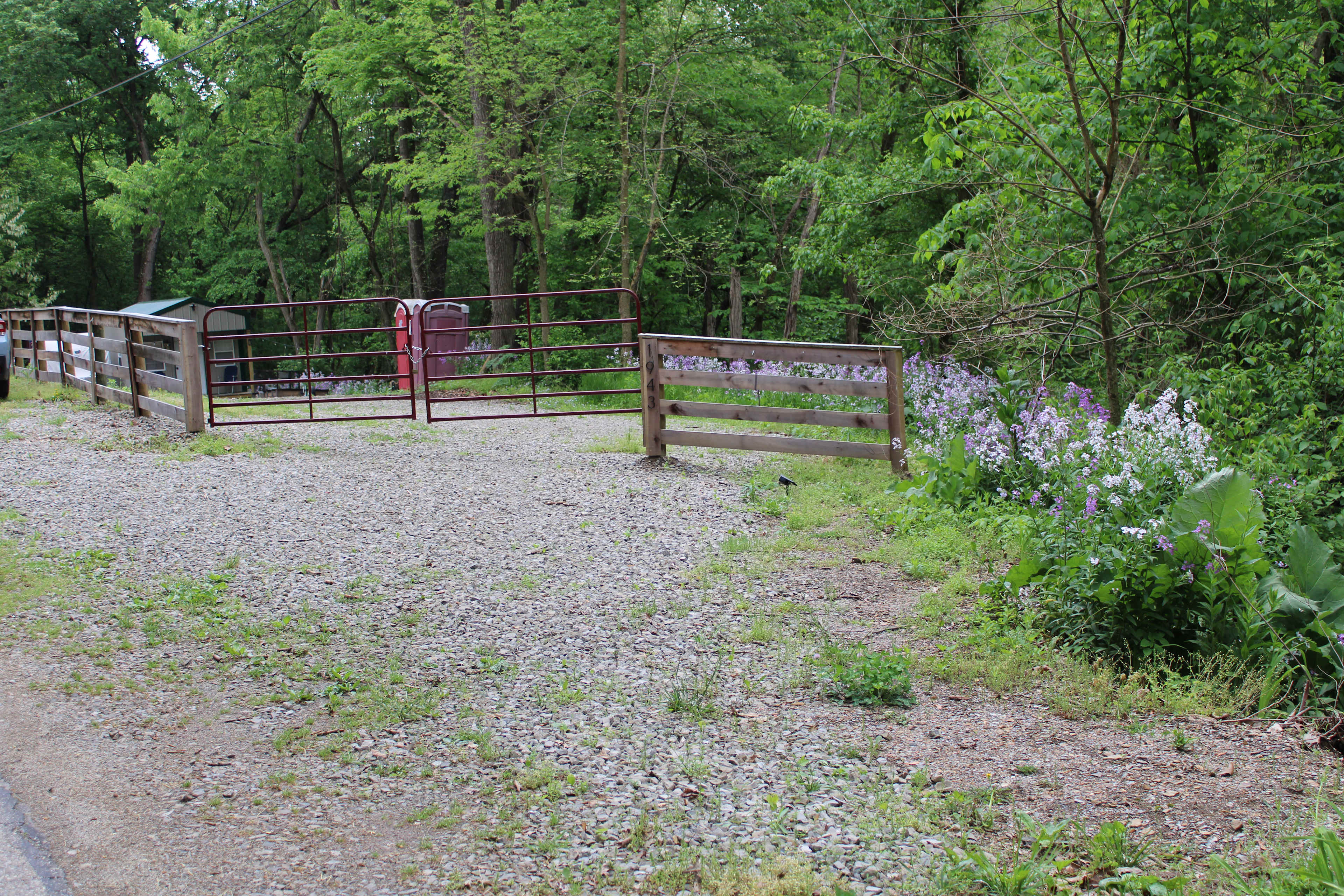 Picture of the site