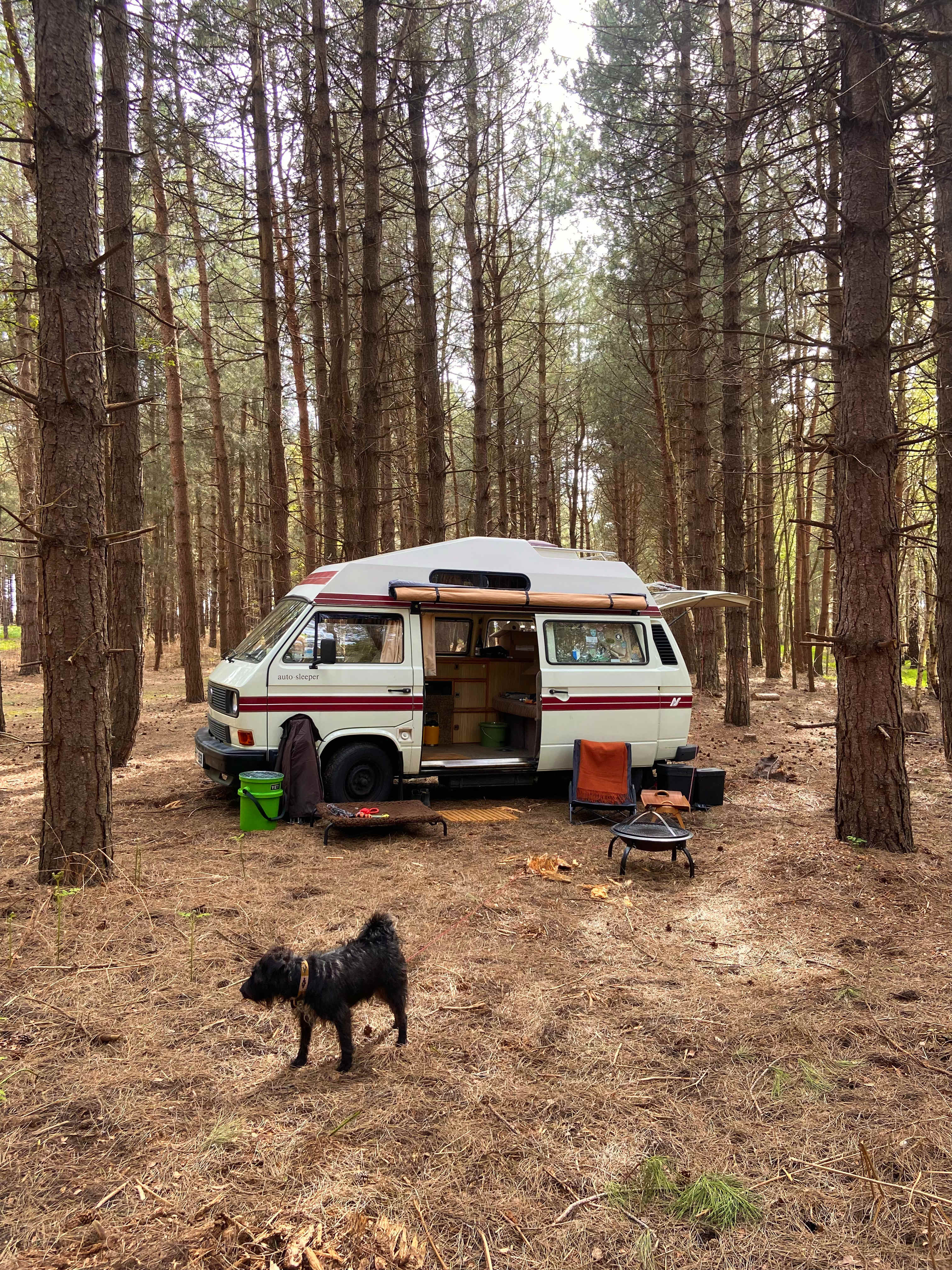 Holistic Woods Campsite WILD