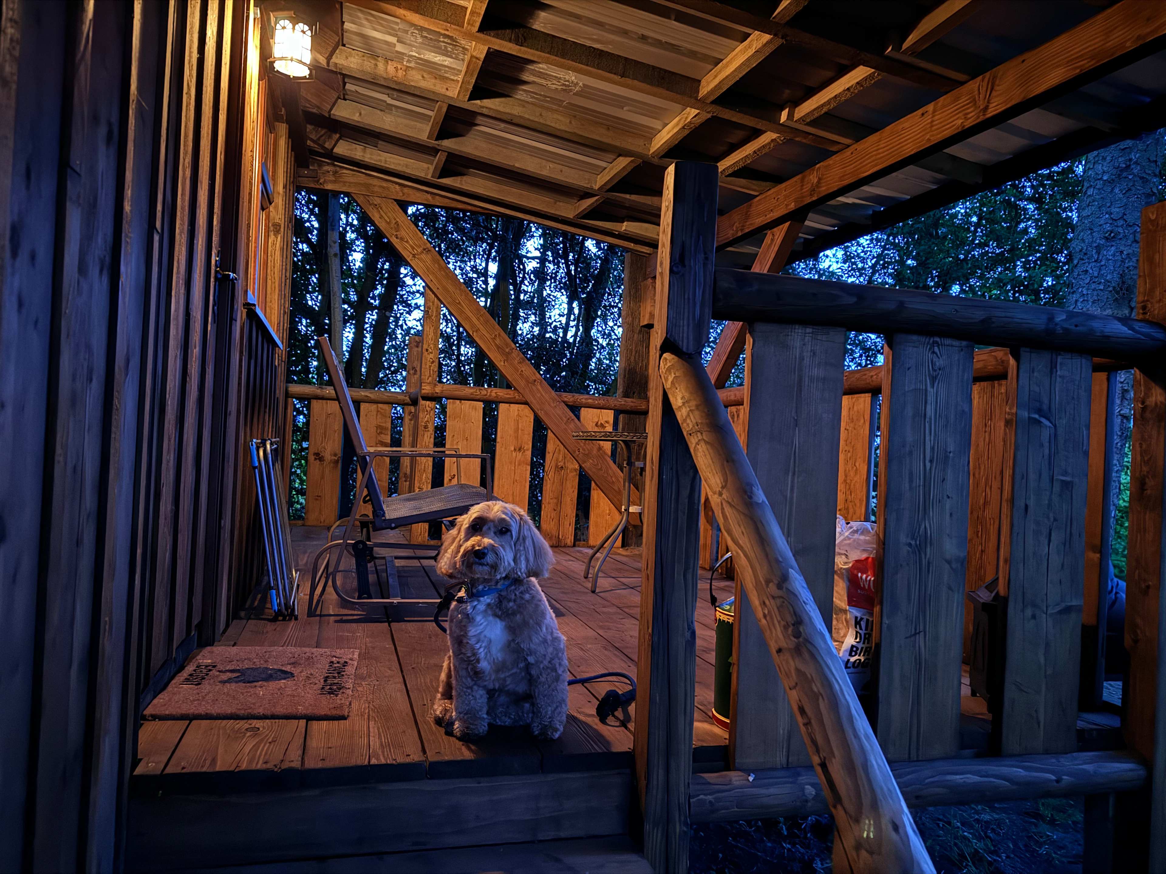 Nook Cabin