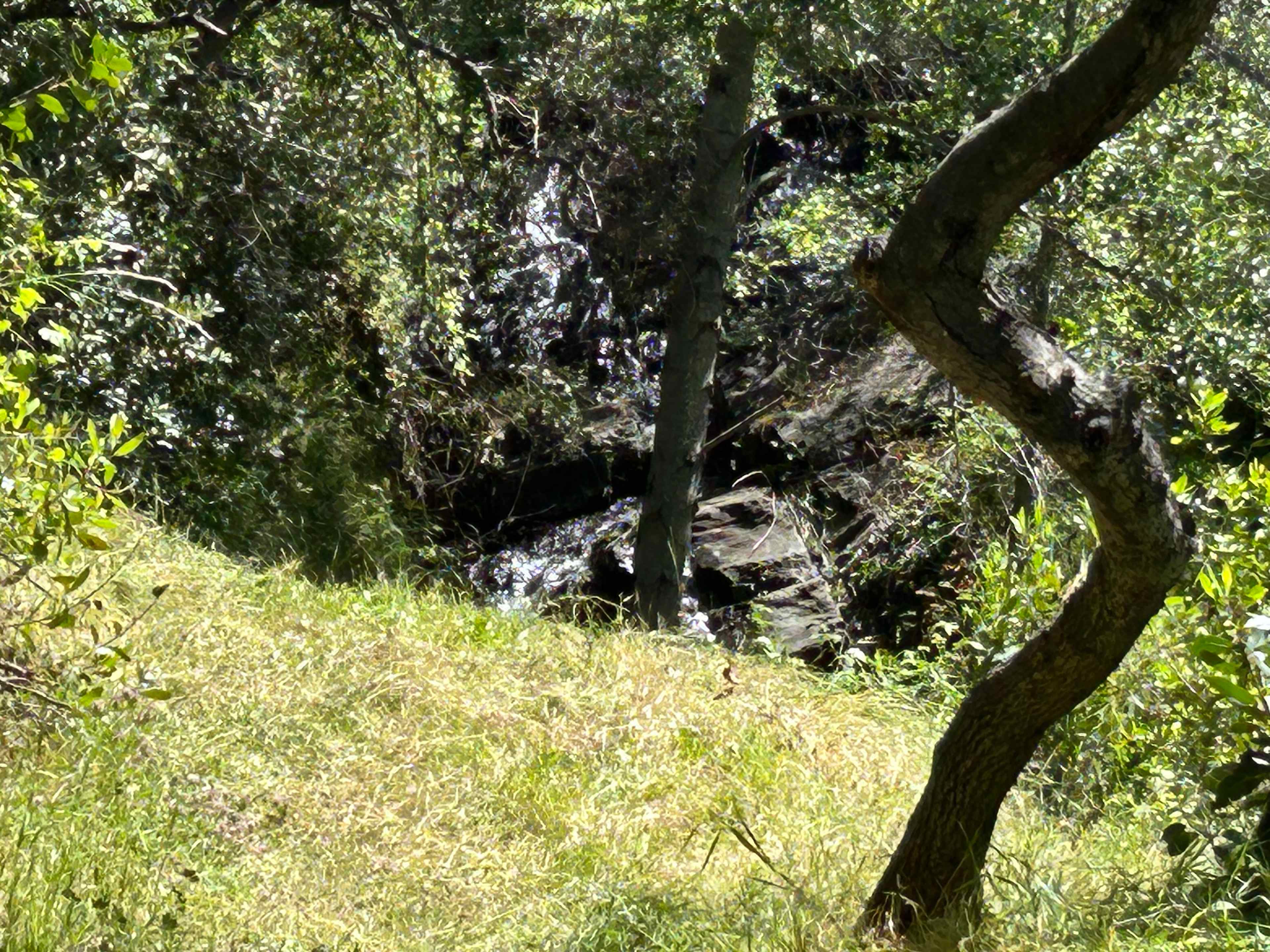 Hidden Falls