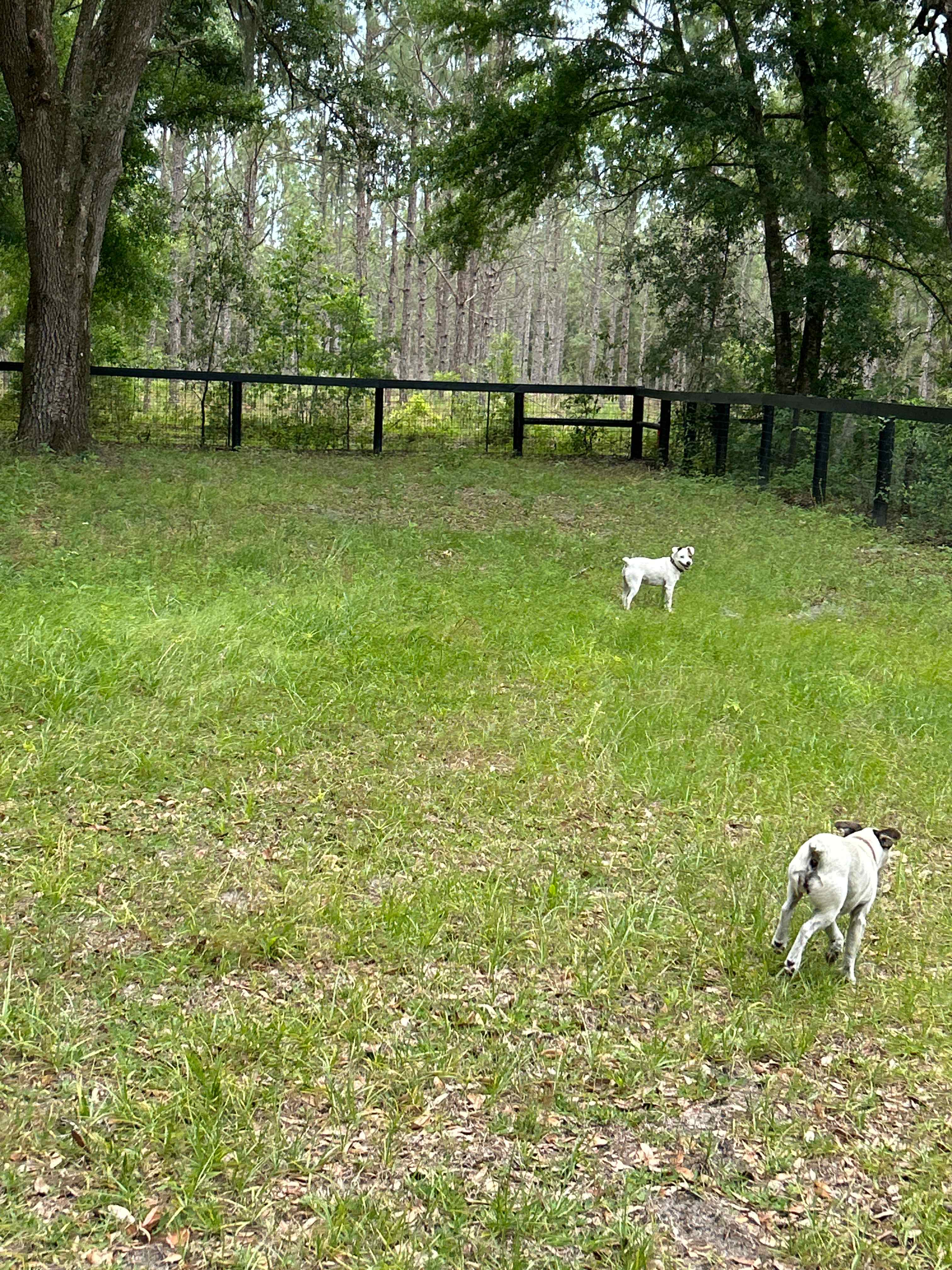 Shannon Trails bring your horses