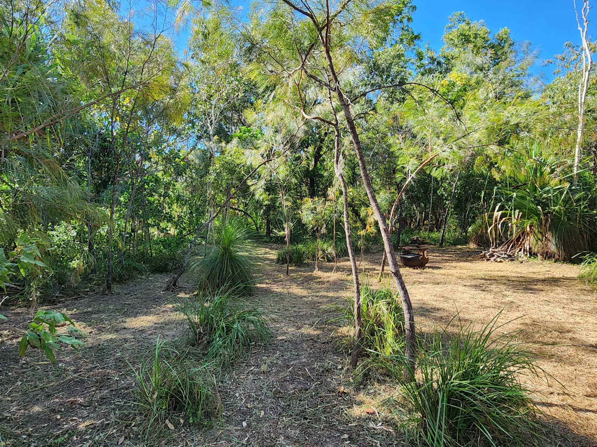 Black River Bush Retreat