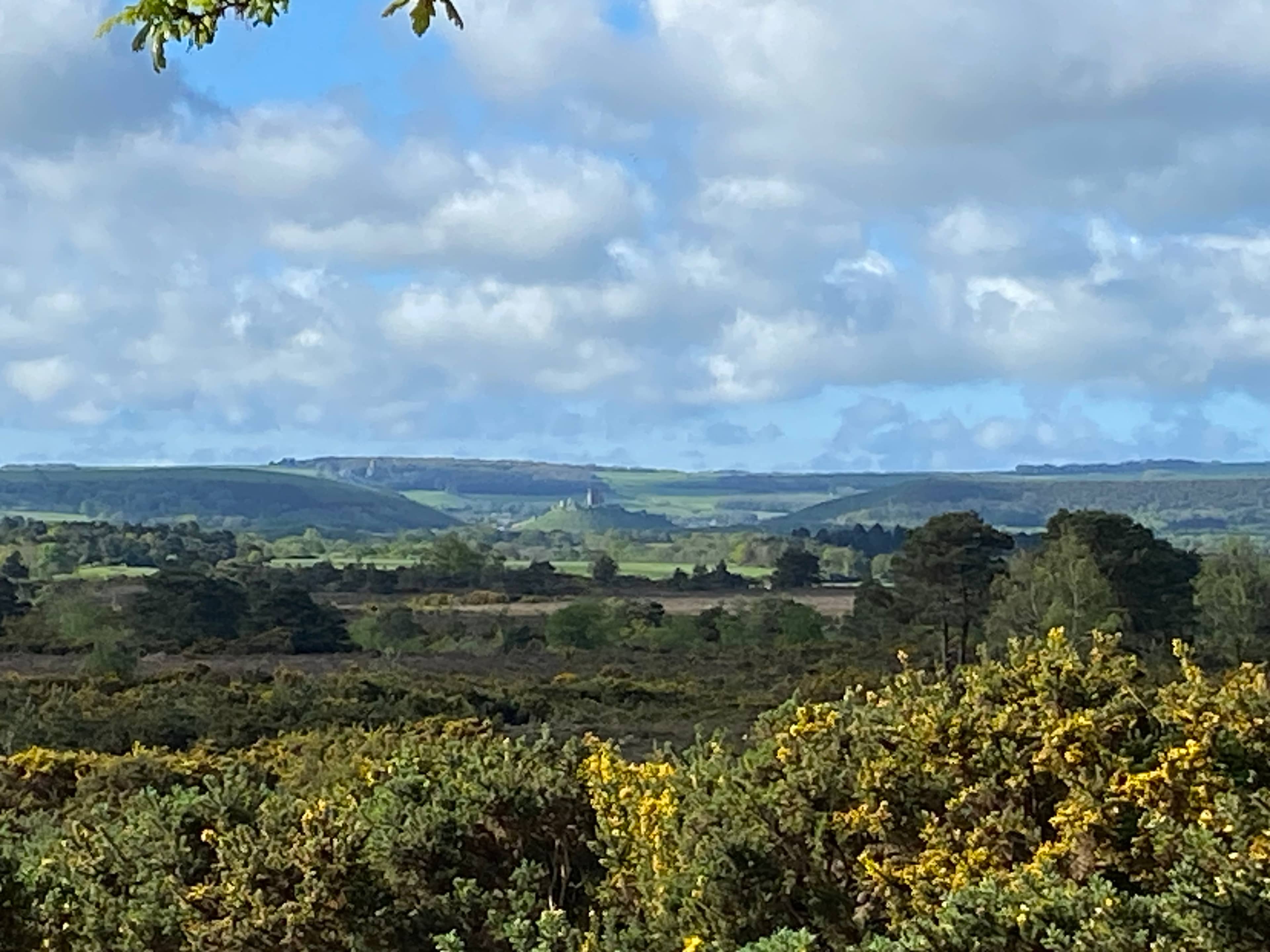 Isle of Arne looking towards Corfe 