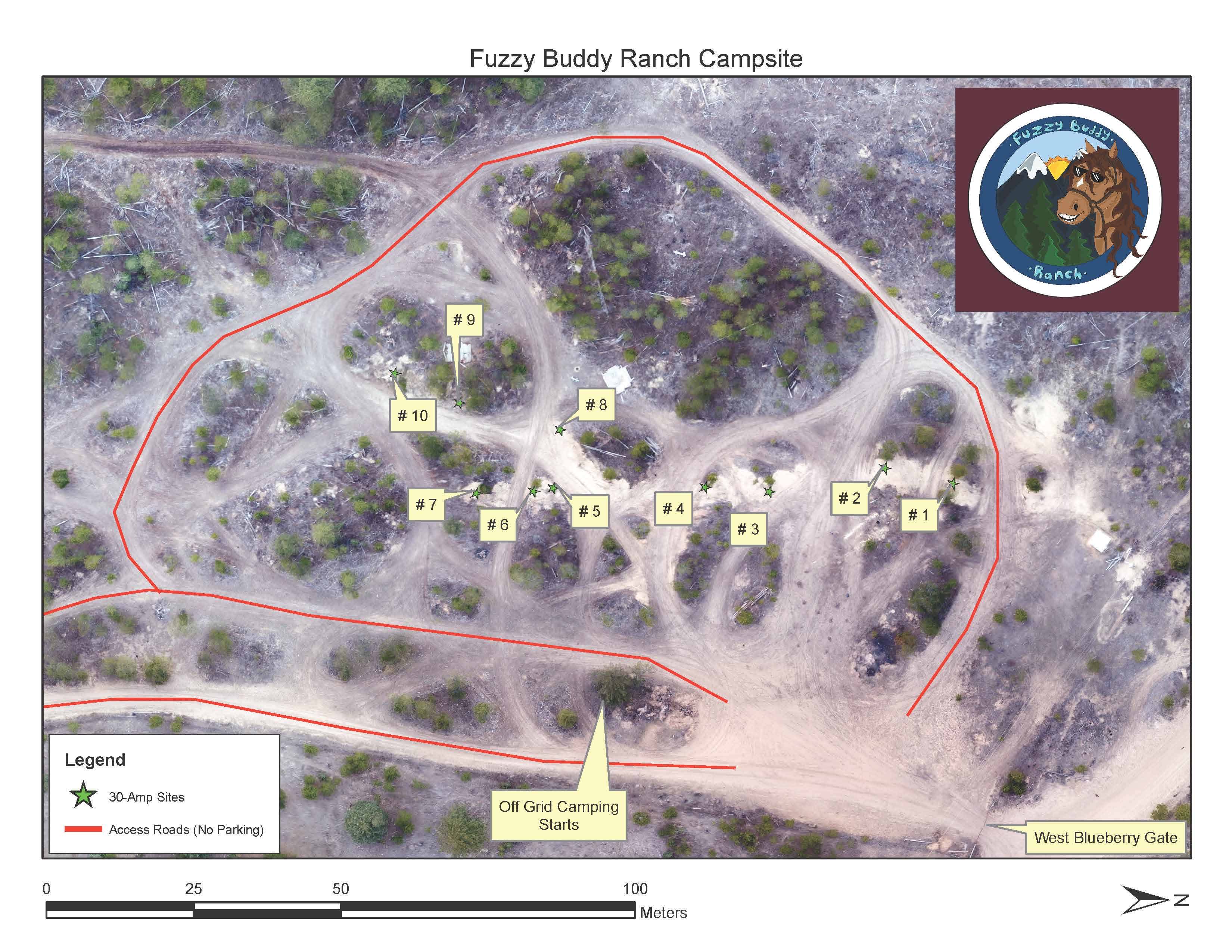 Picture of the site