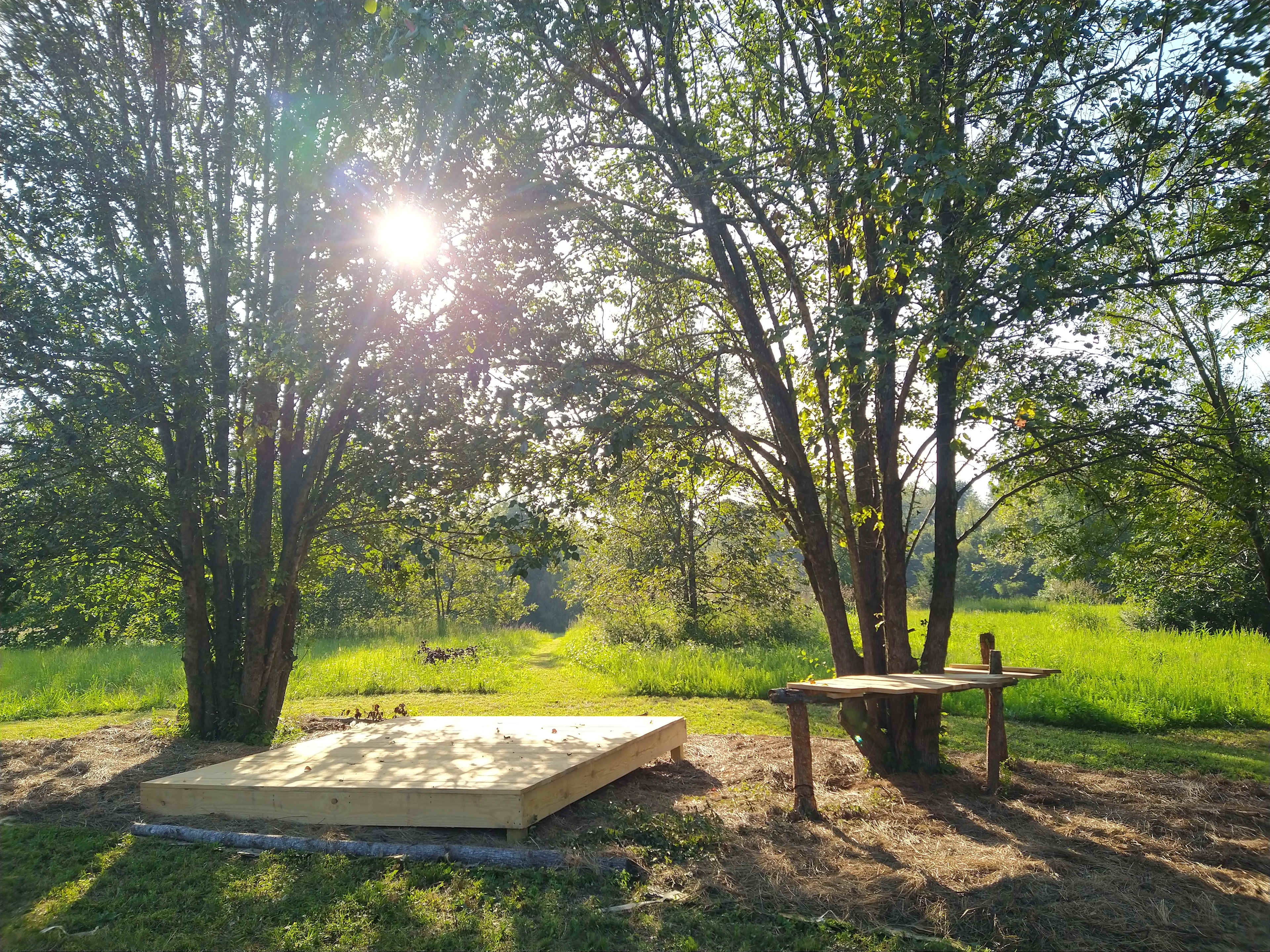 Pecan Platform...in the fall you can grab some pecans!