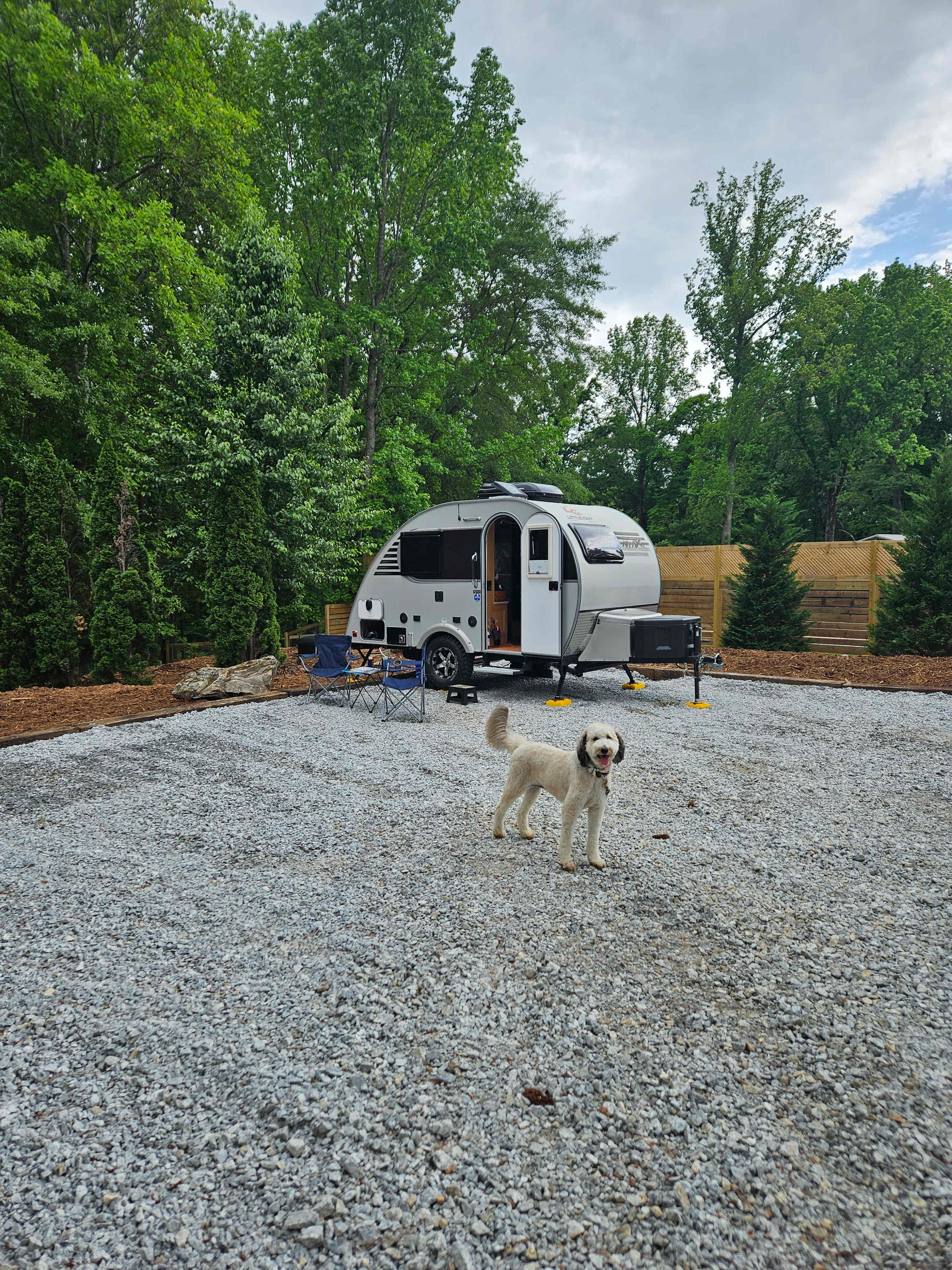 Black Bear Farm