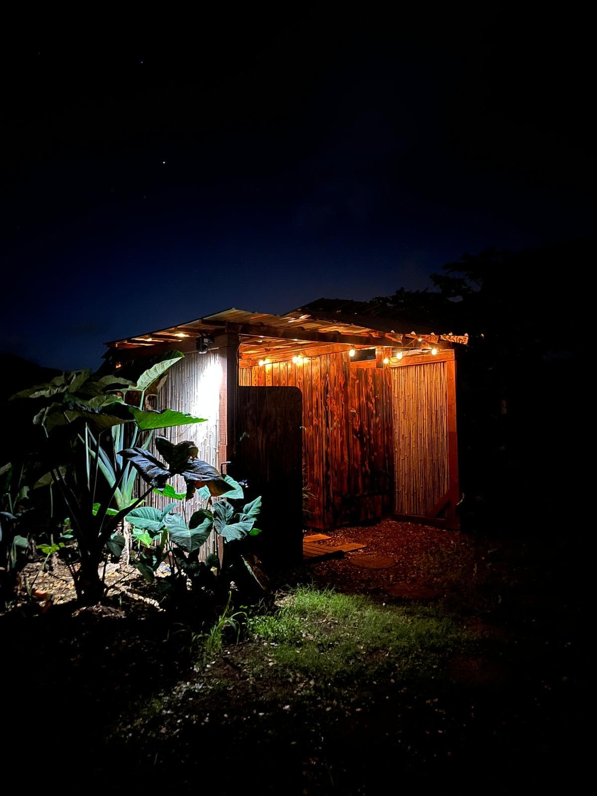 Aloha Family Farms