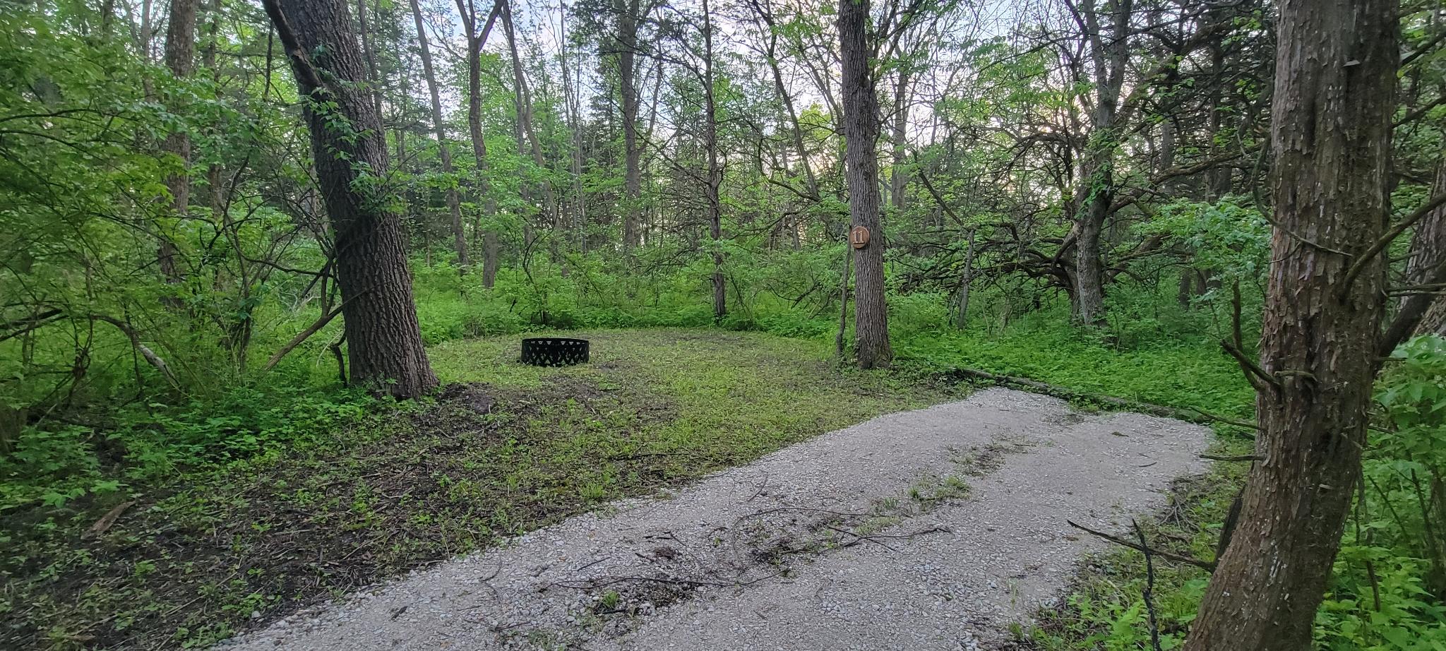 Angel Creek