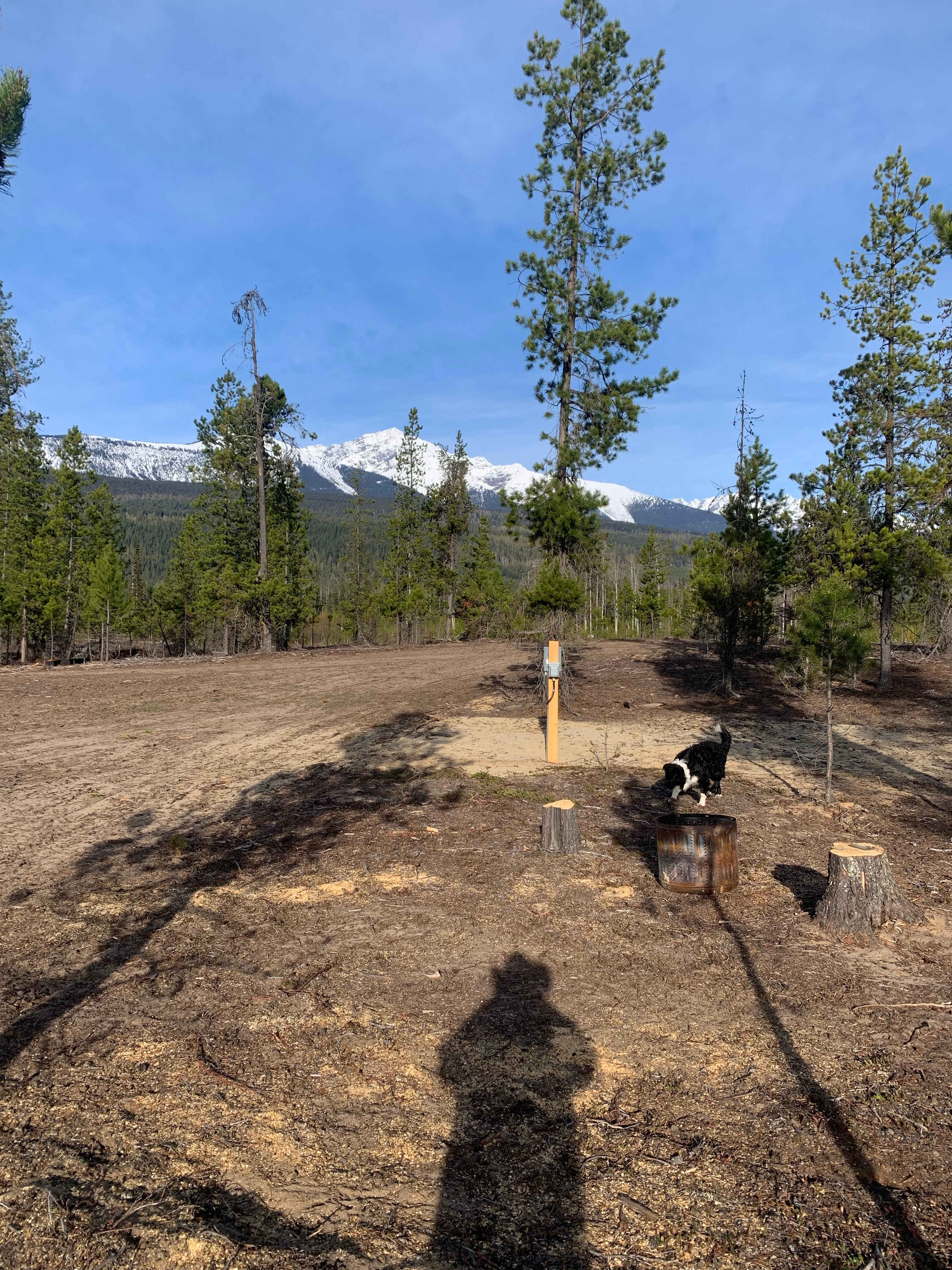 Picture of the site