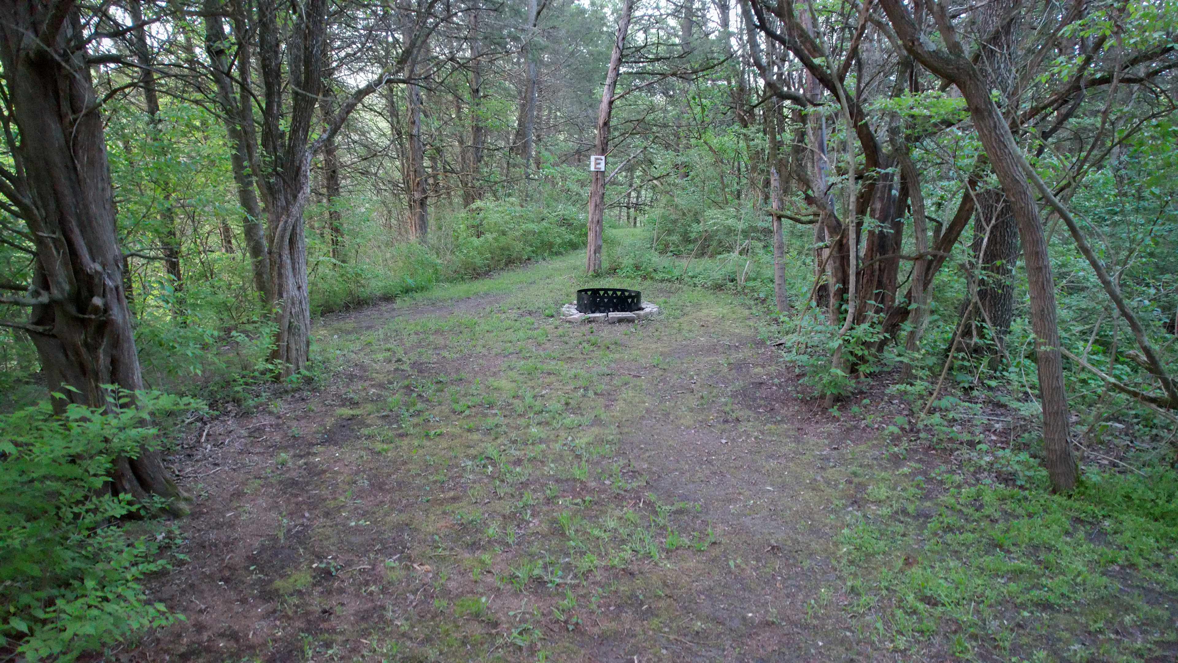 Angel Creek