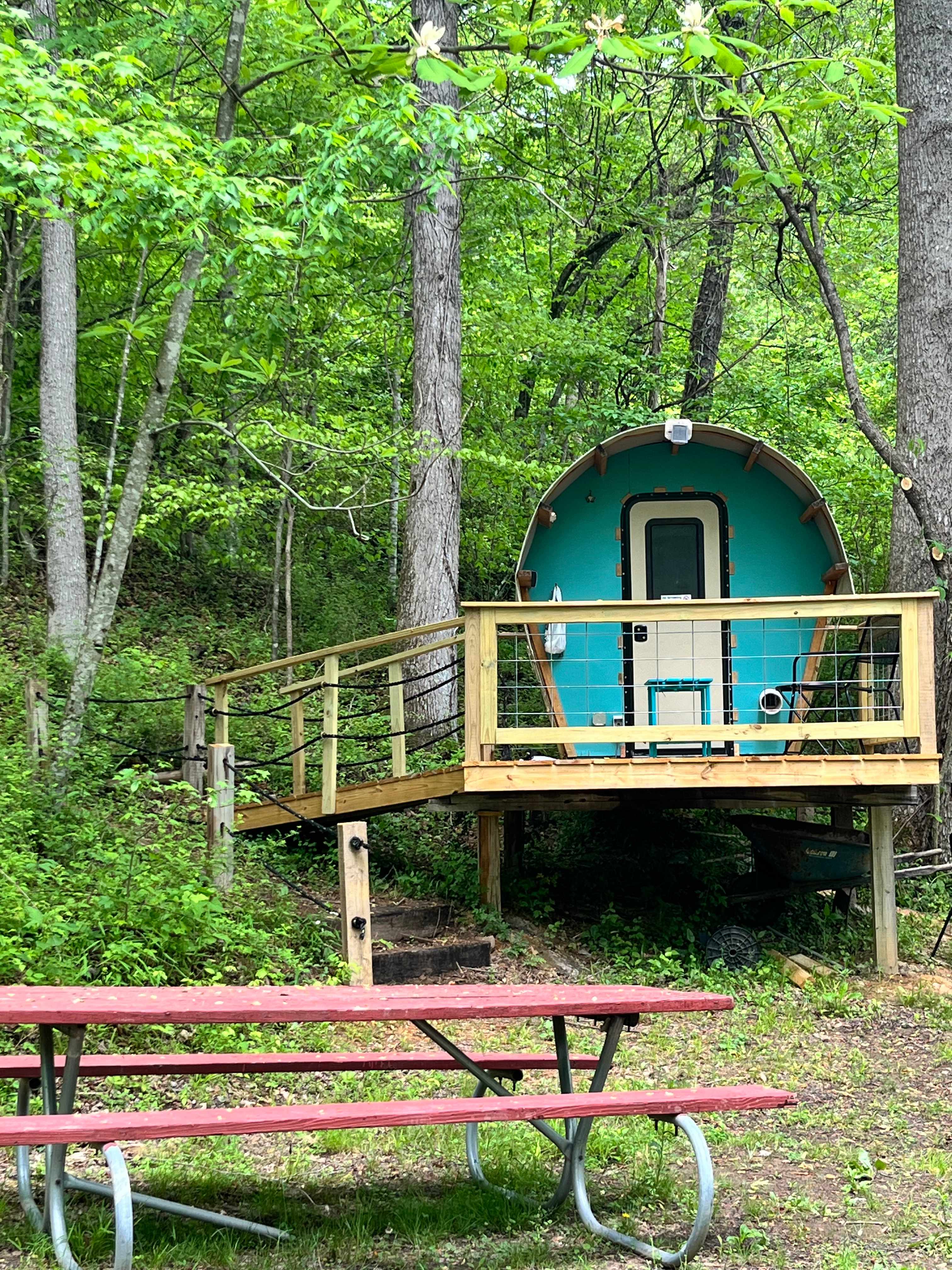 Picture of the site
