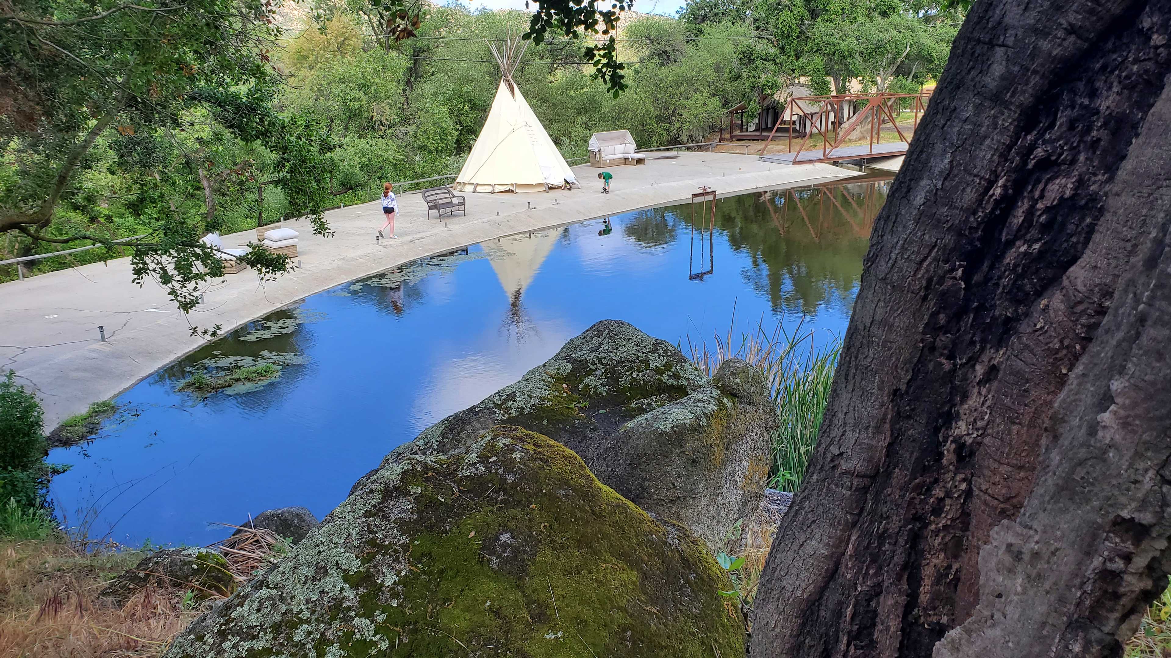 Picture of the site
