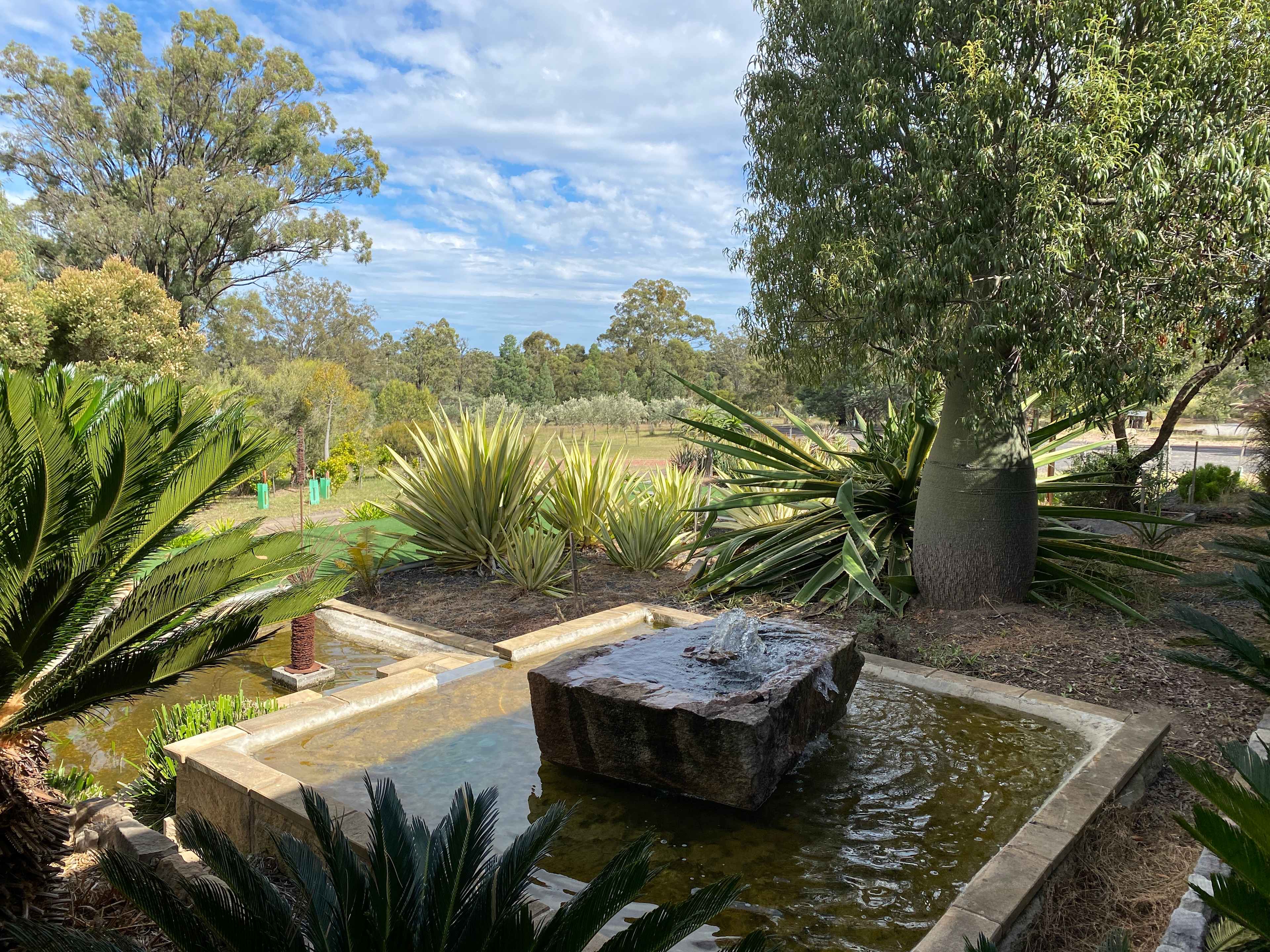Picture of the site