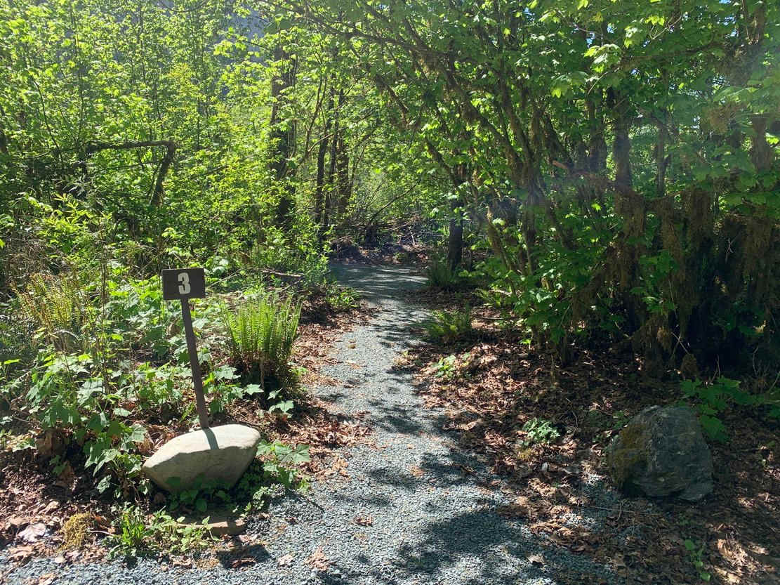 Camp Hideaway