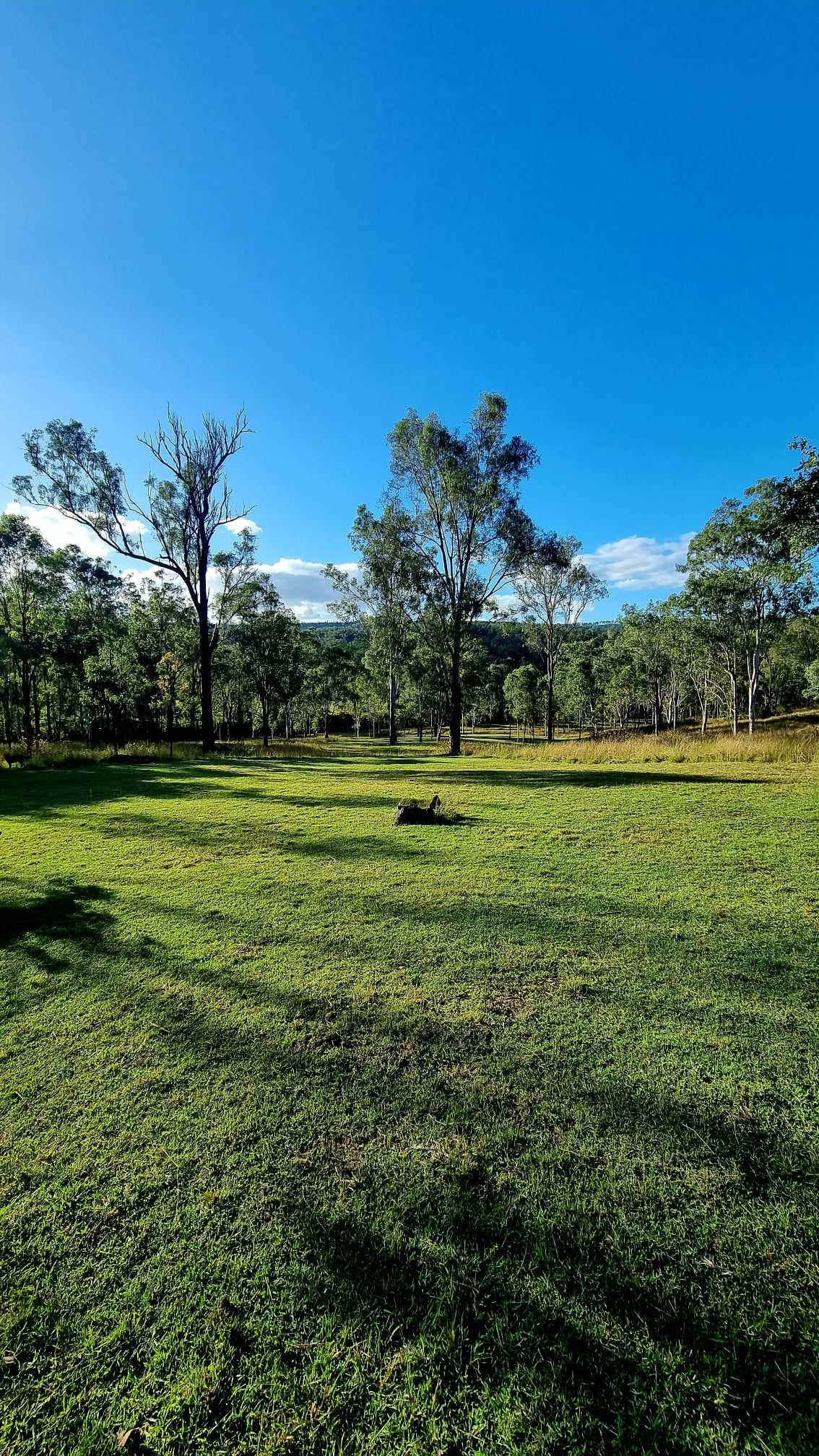 Possum Bush Retreat FARMSTAY