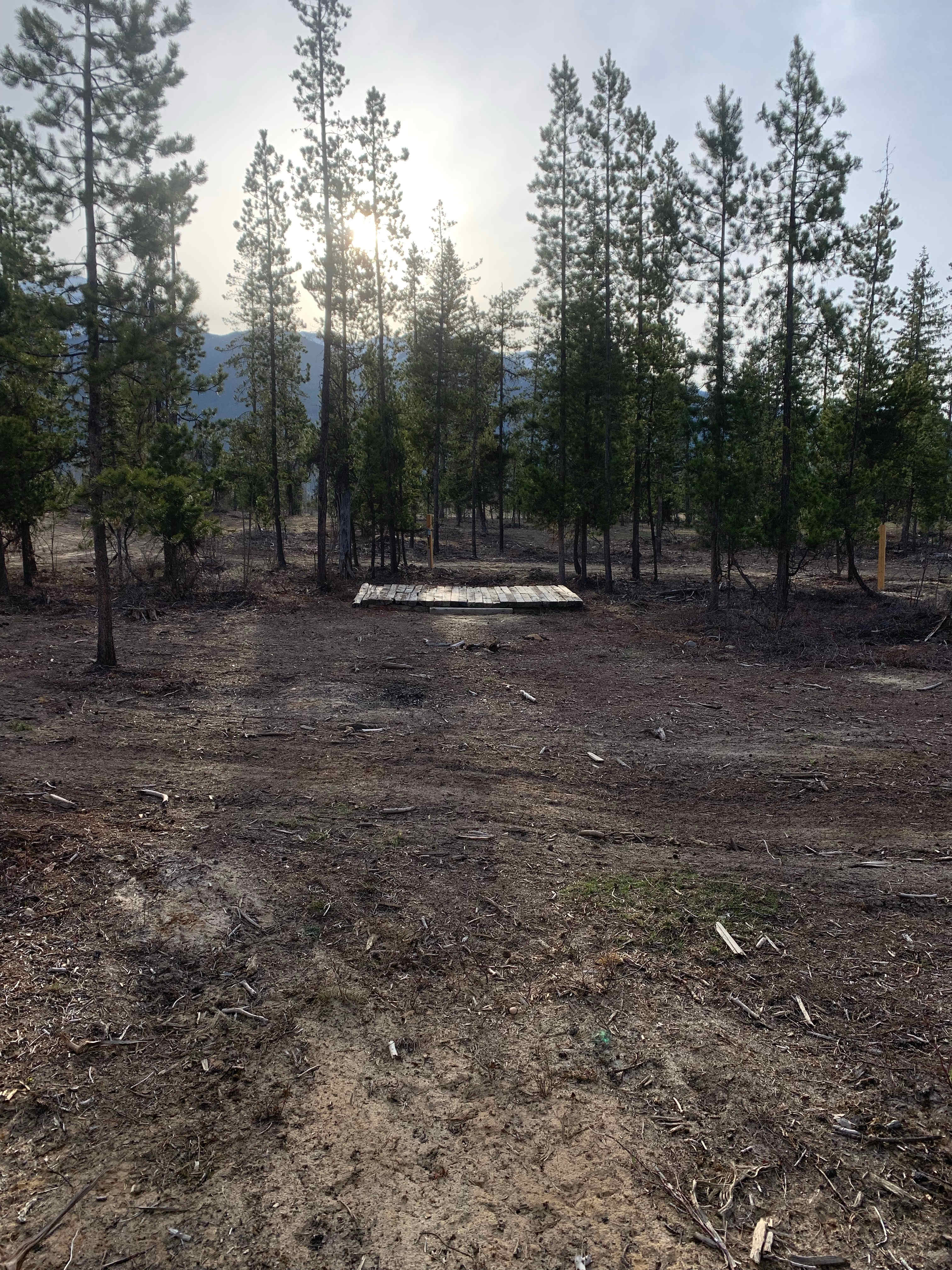 Picture of the site