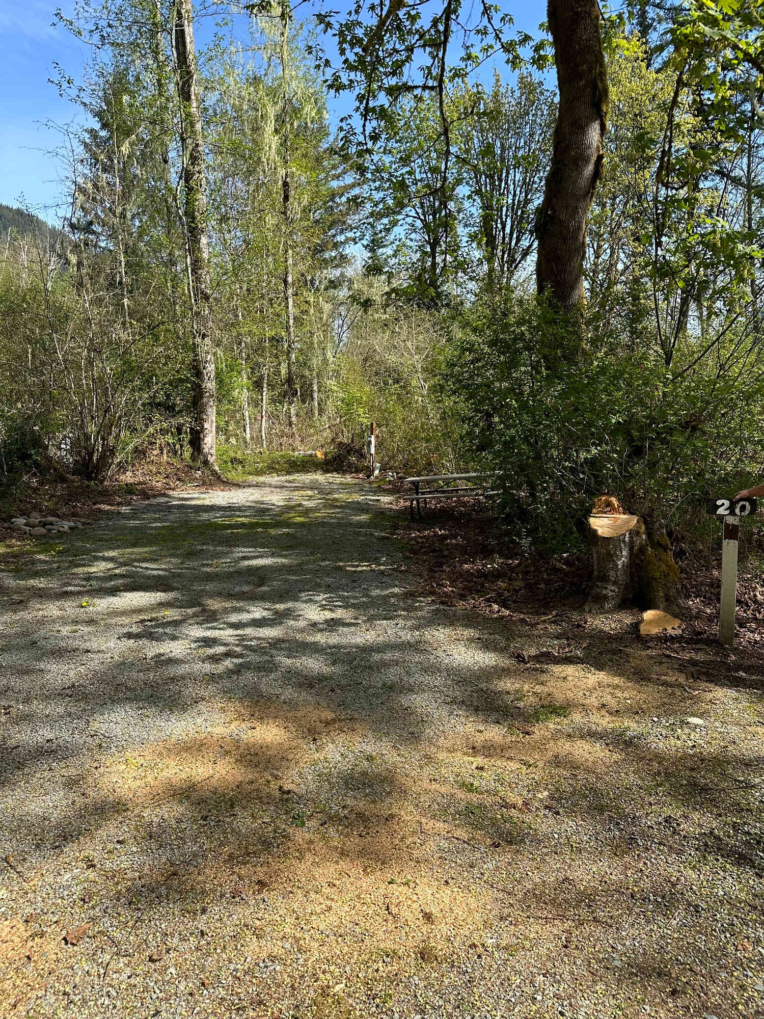 Picture of the site