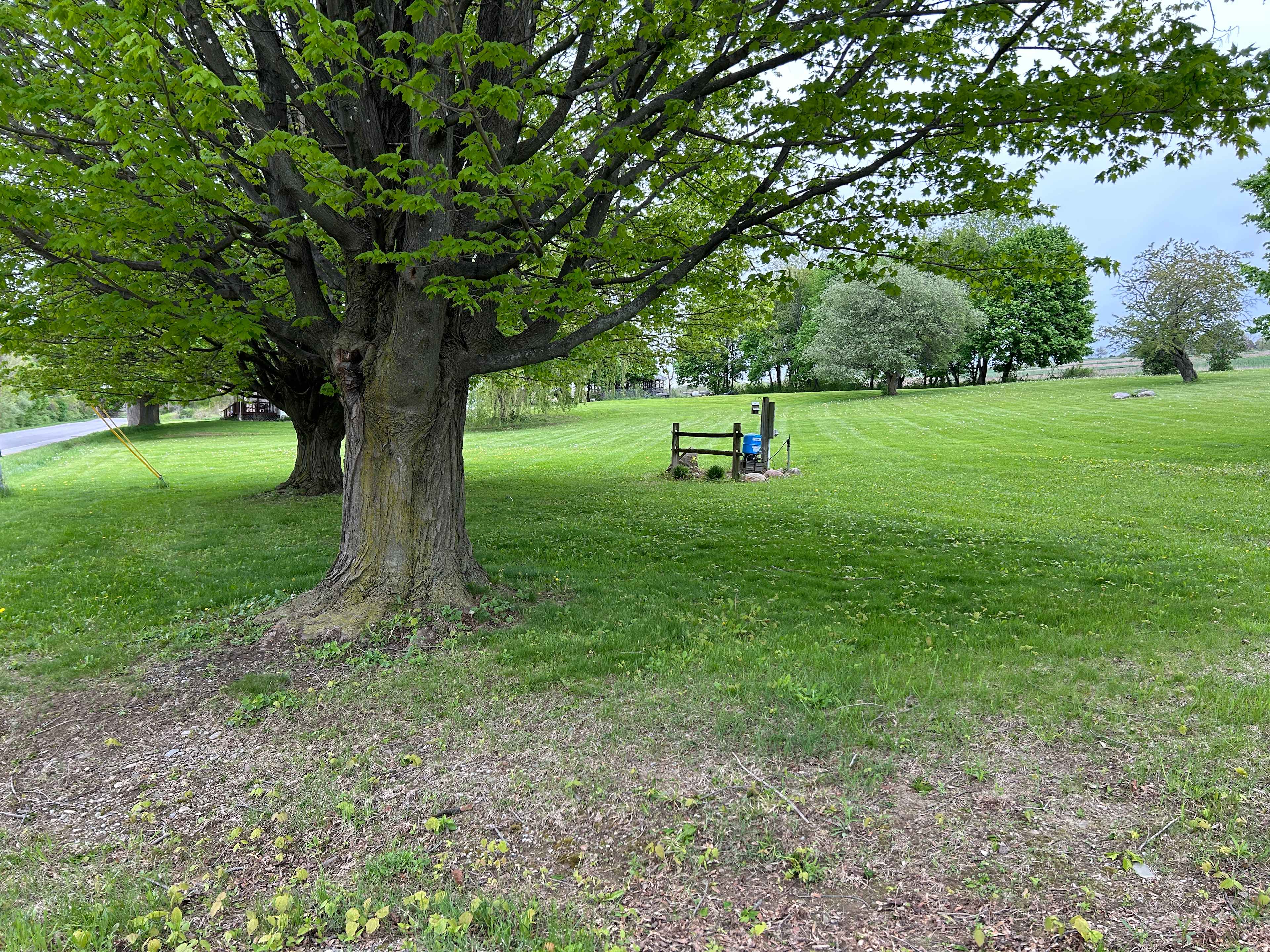 Photo taken from driveway