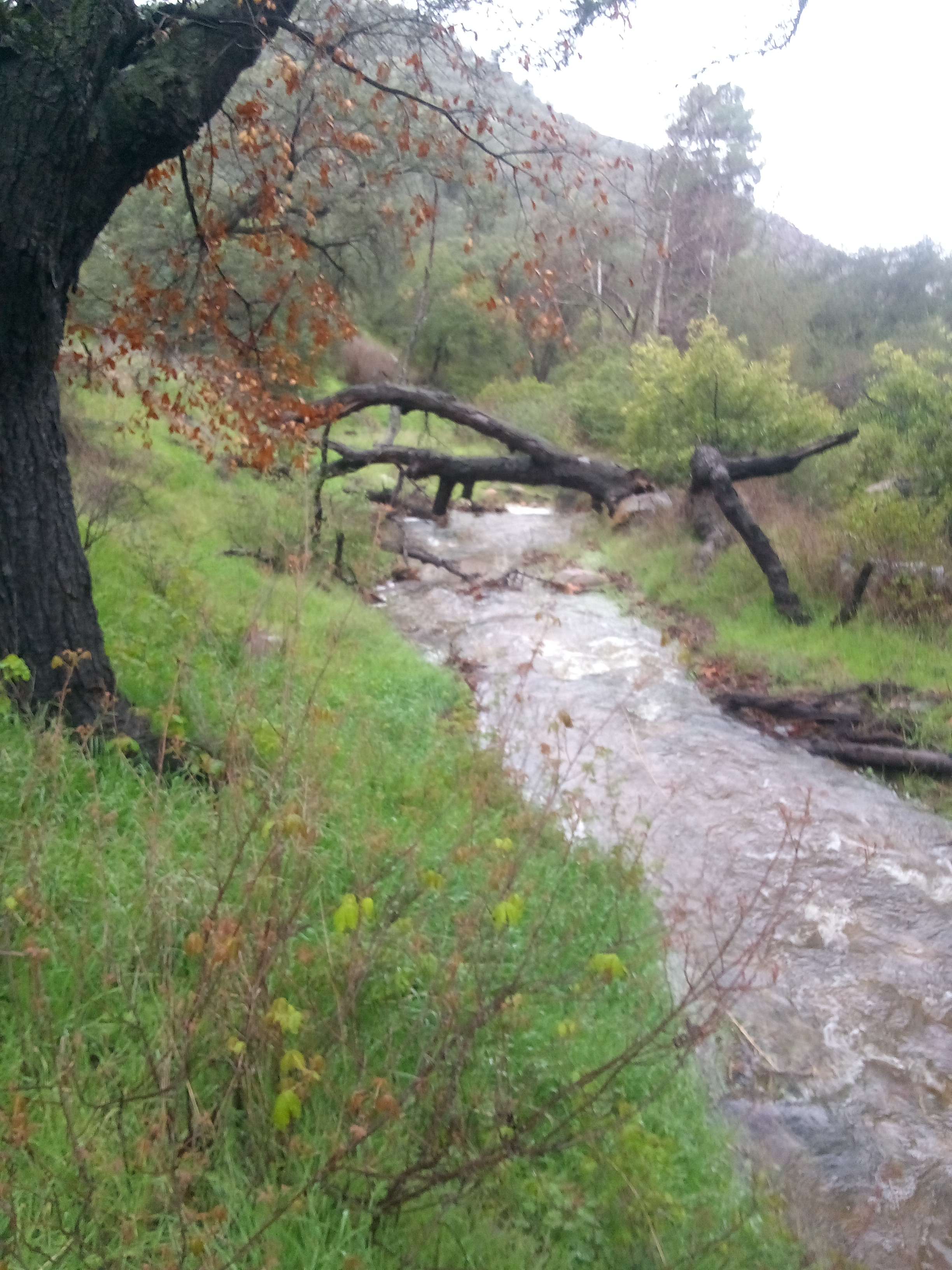 Dutchman Canyon